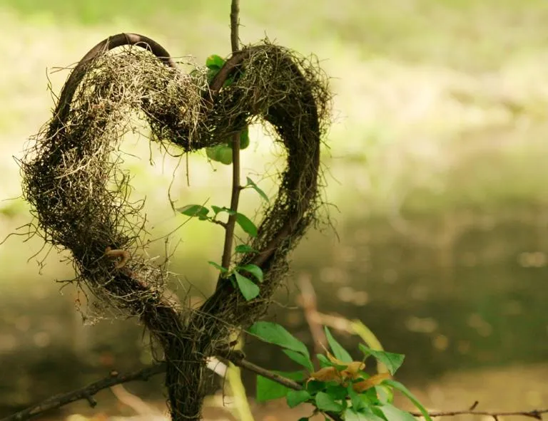 Hotel Farchauer Mühle