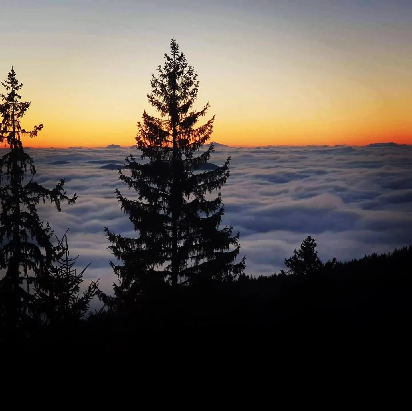 Natural landscape in Grand Monastery Private Apartments