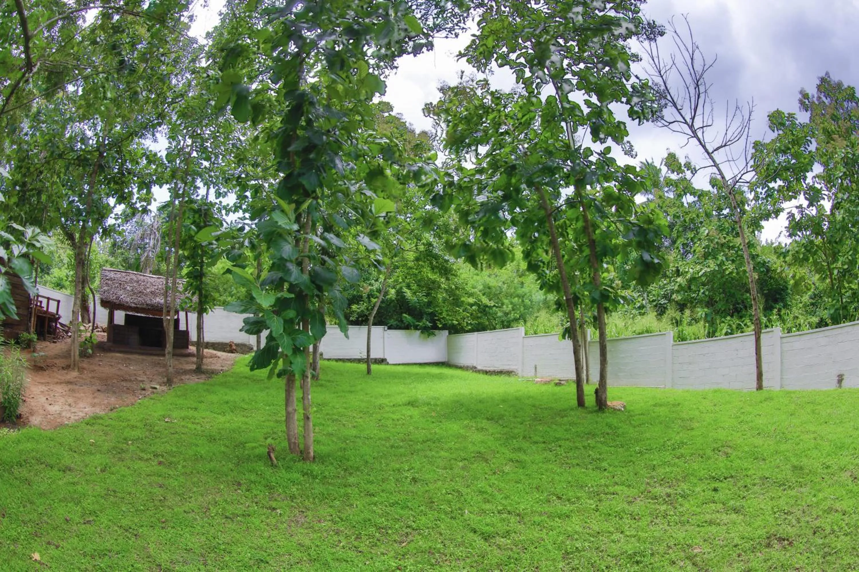 Garden in Satiana Tangalle