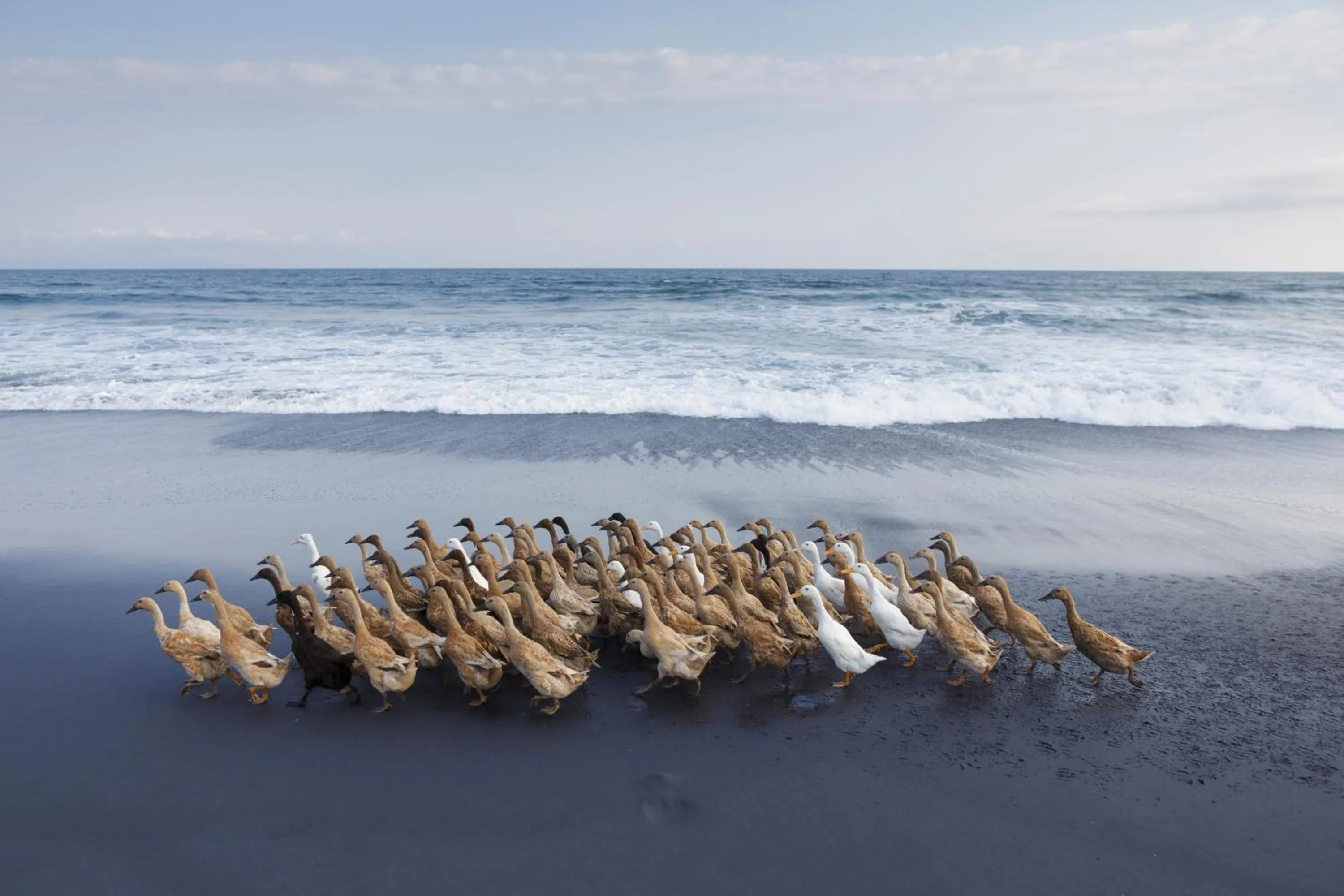 Sea view in Bali Diamond Estates & Villas