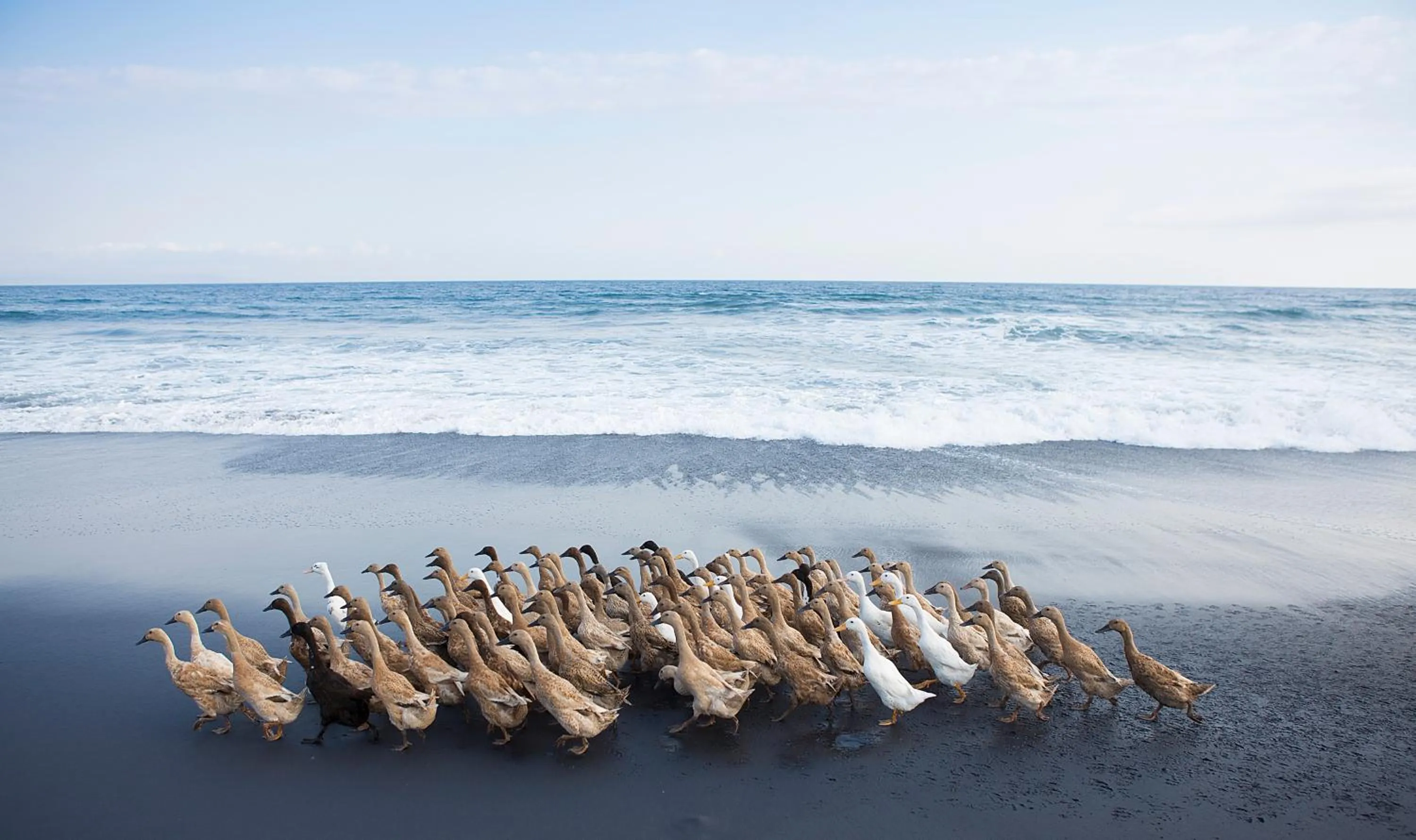 Beach in Bali Diamond Estates & Villas