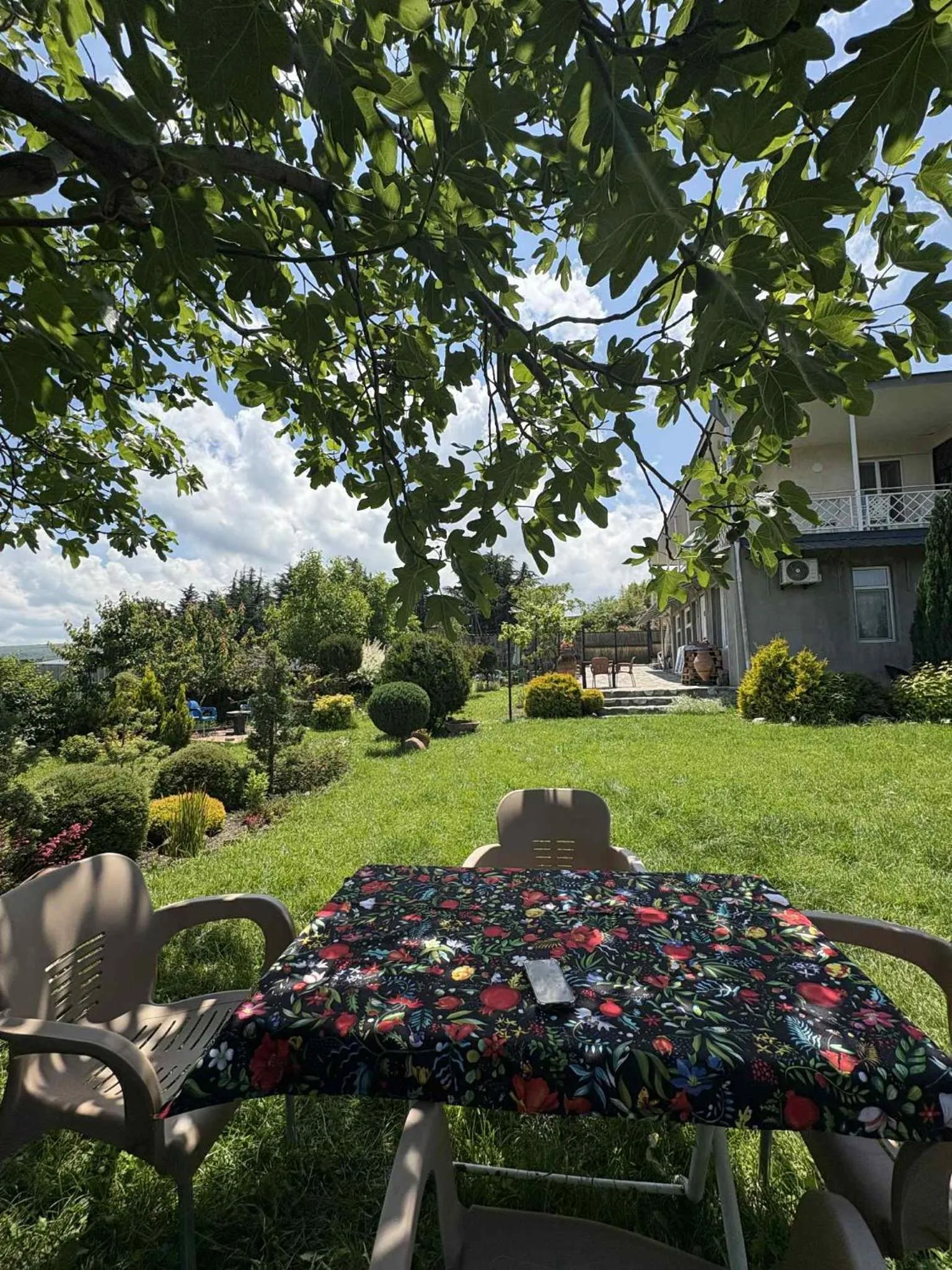 Garden view in Hotel Classic