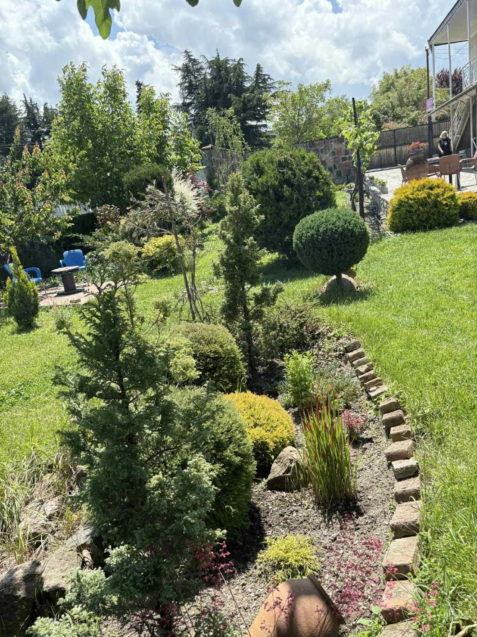 Garden view in Hotel Classic