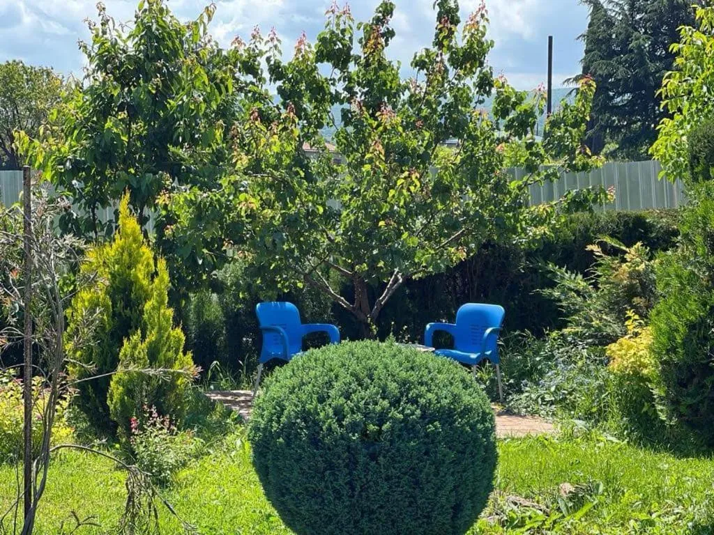 Garden in Hotel Classic