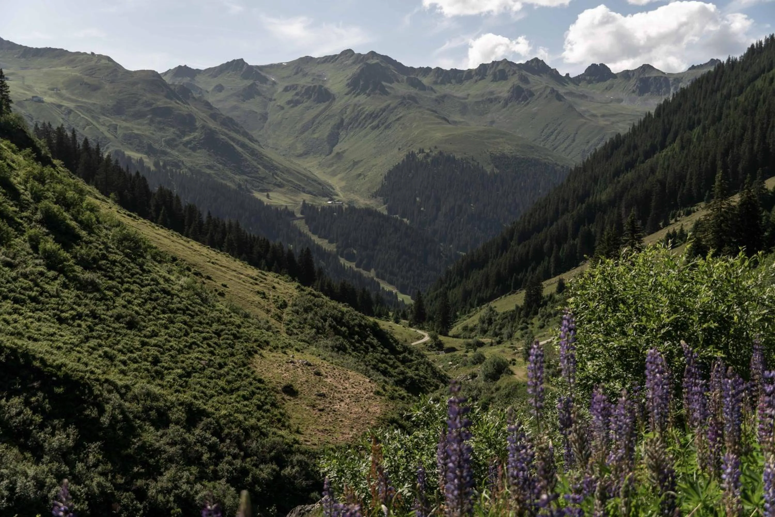 Summer in Heimspitze - Alpenhotel & Wirtshaus