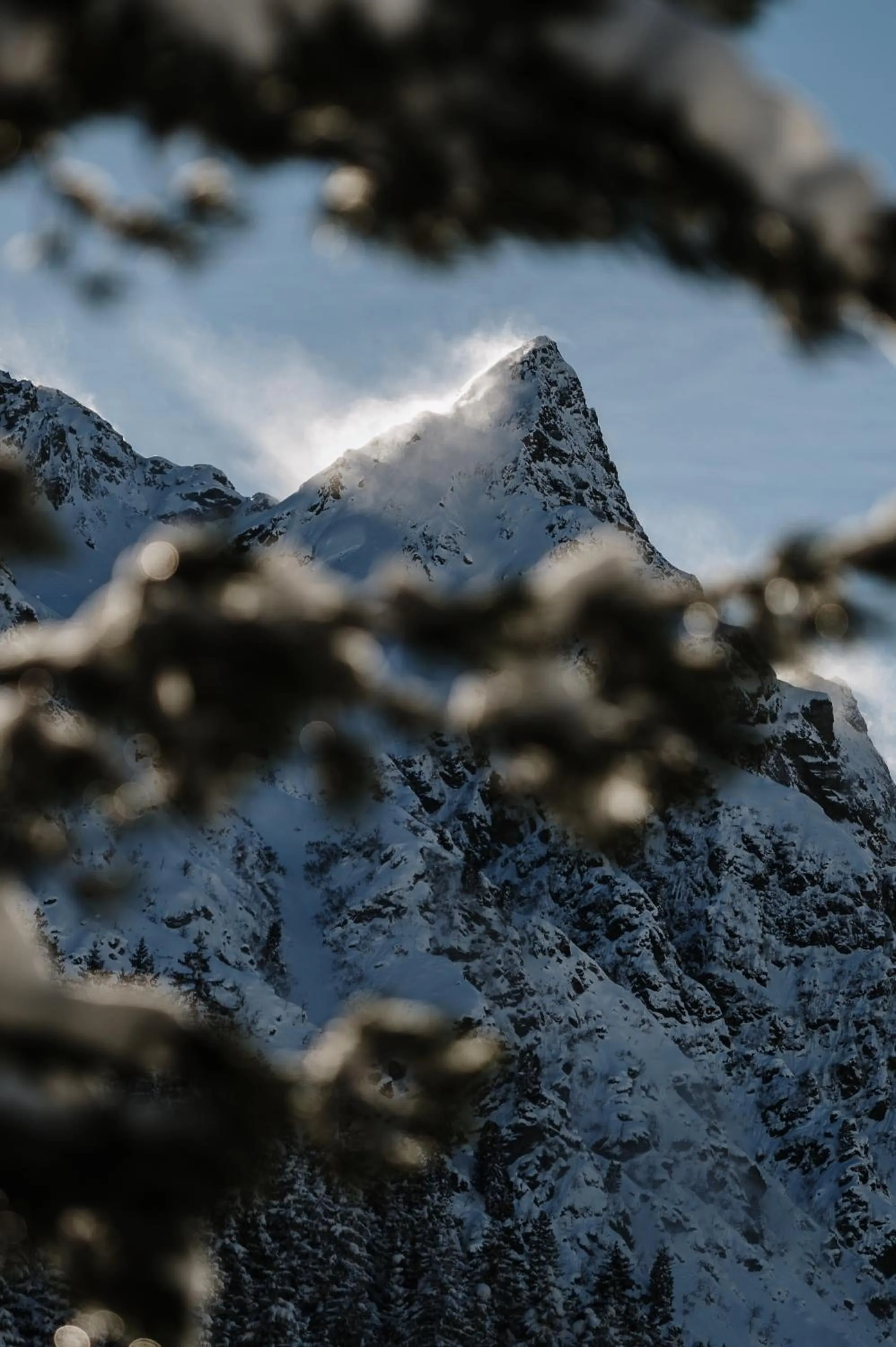 View (from property/room) in Heimspitze - Alpenhotel & Wirtshaus
