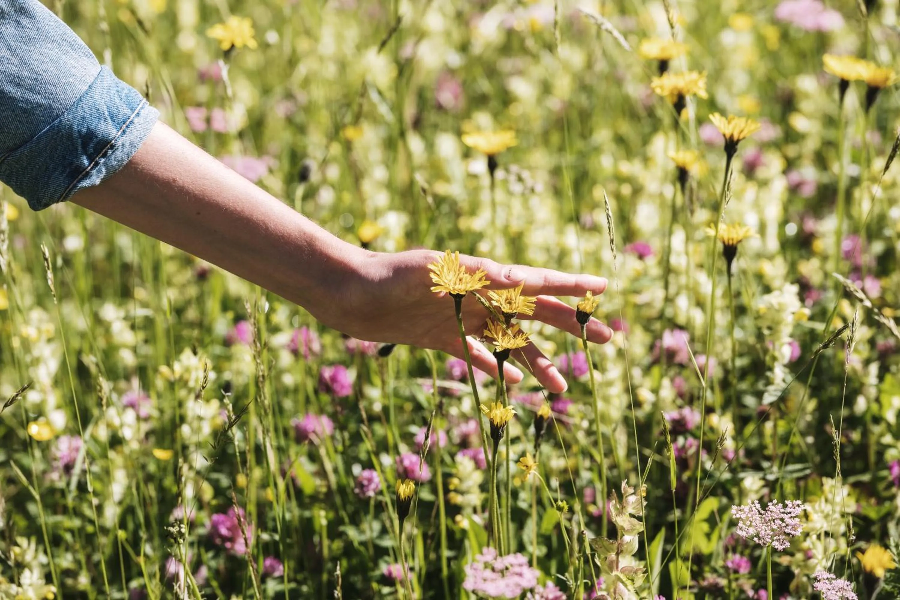 Spring in Heimspitze - Alpenhotel & Wirtshaus