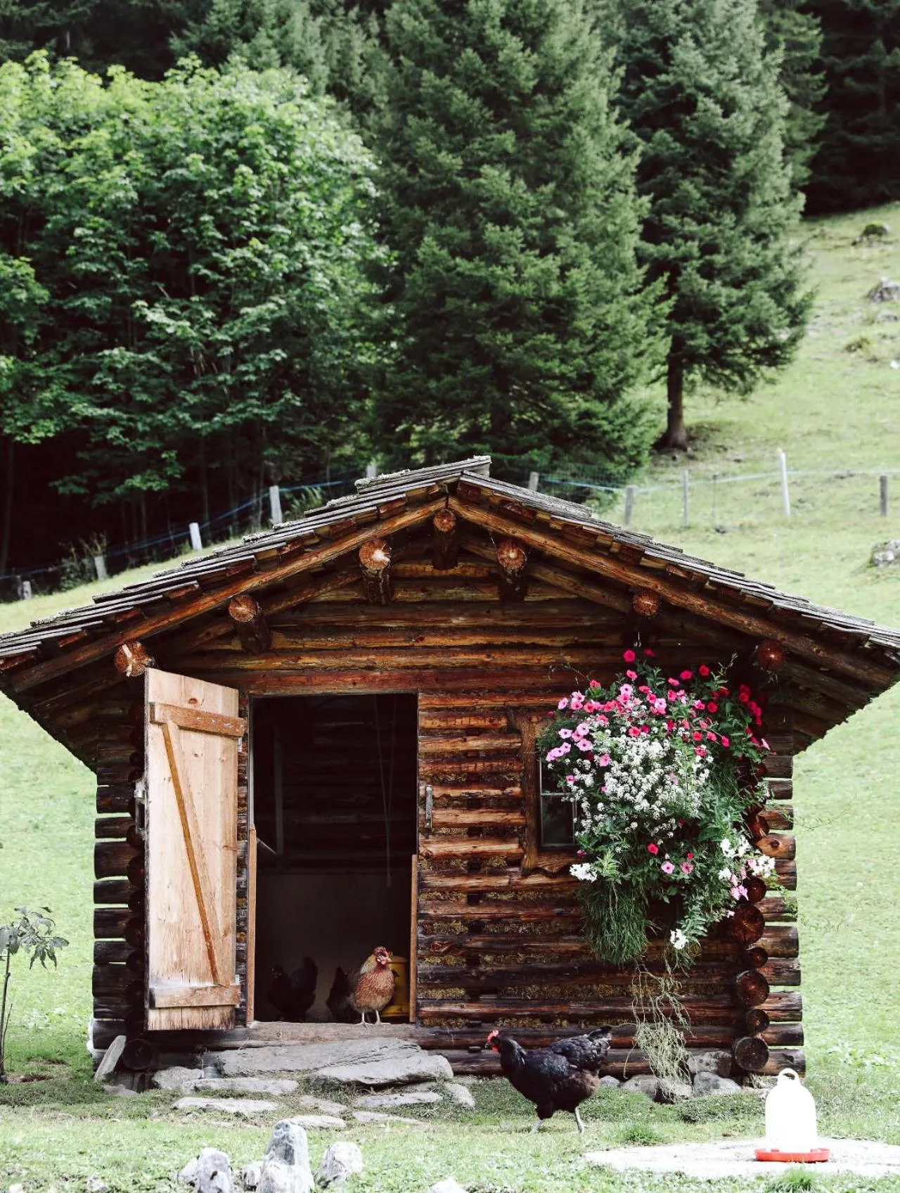 Garden in Heimspitze - Alpenhotel & Wirtshaus