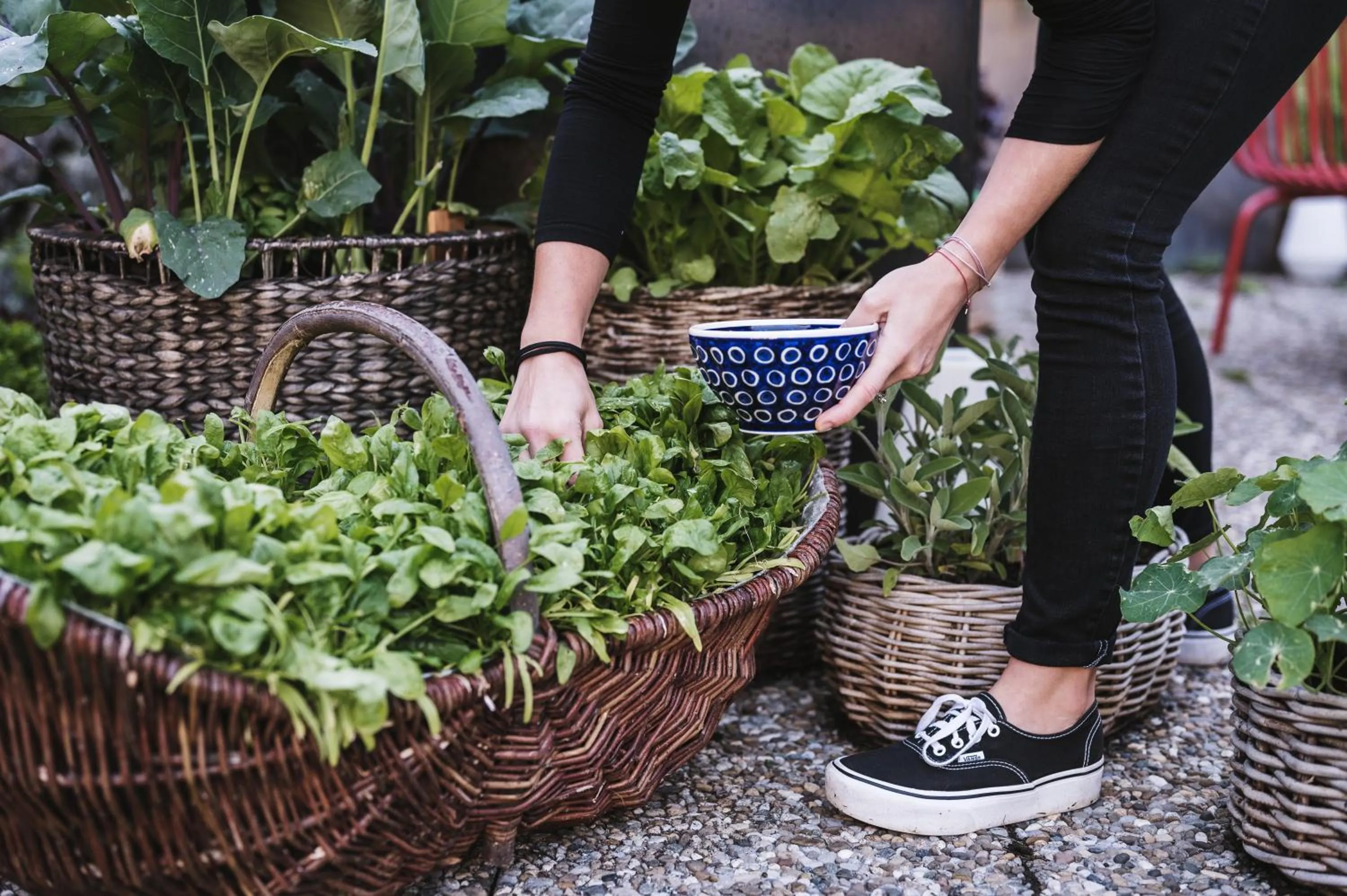Garden in Heimspitze - Alpenhotel & Wirtshaus