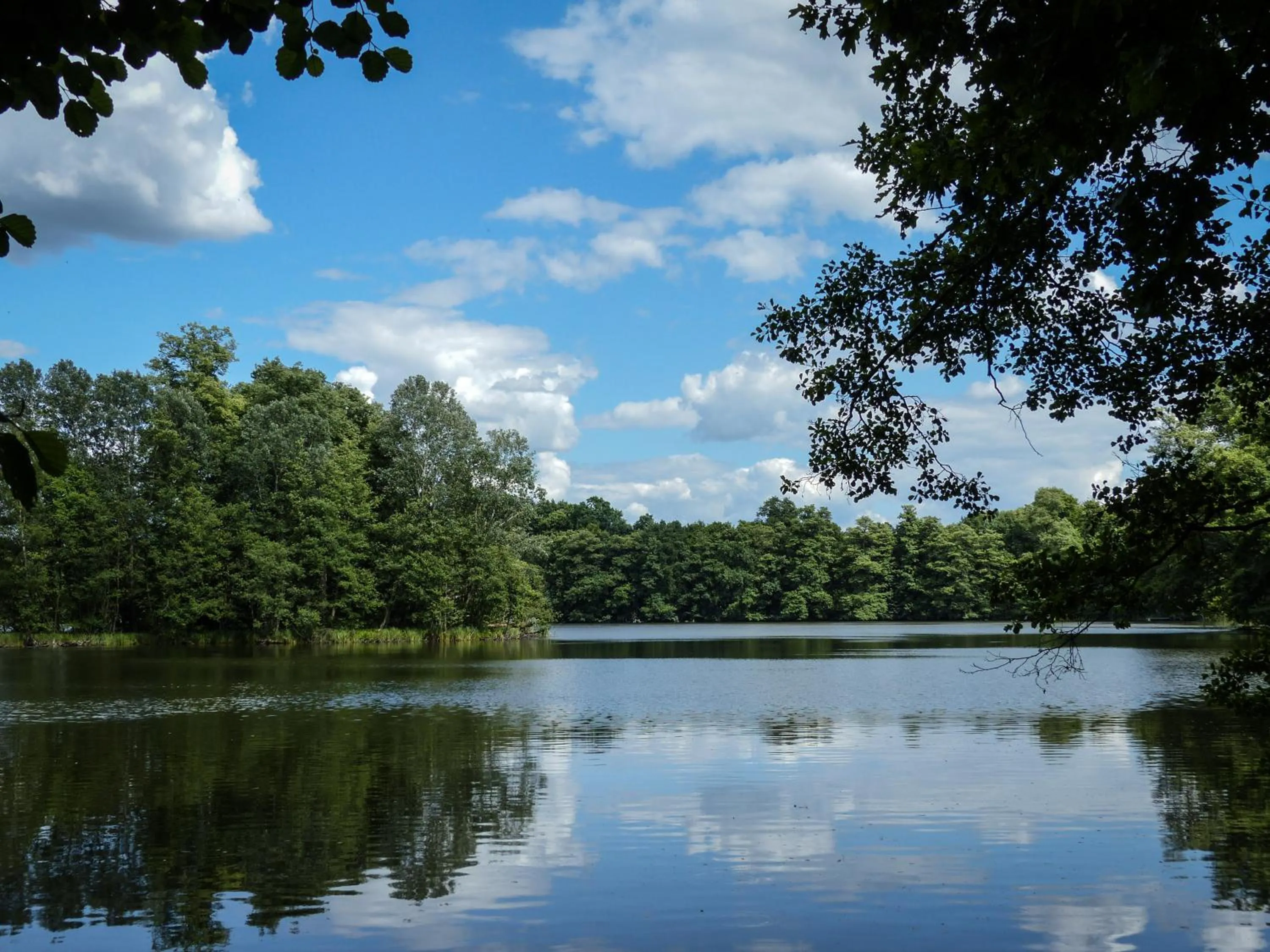 Natural landscape in Gästehaus Chorin