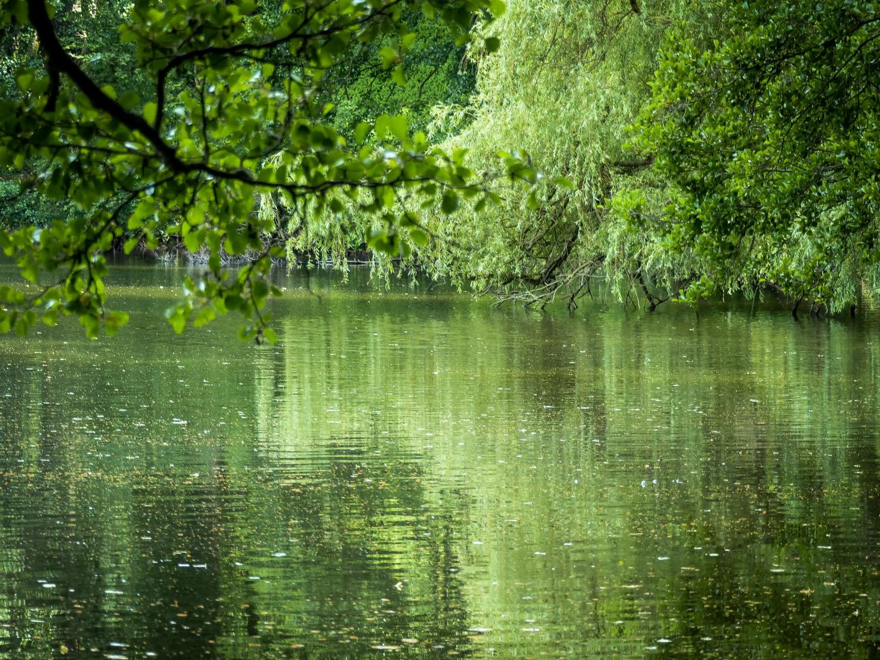 Natural landscape in Gästehaus Chorin