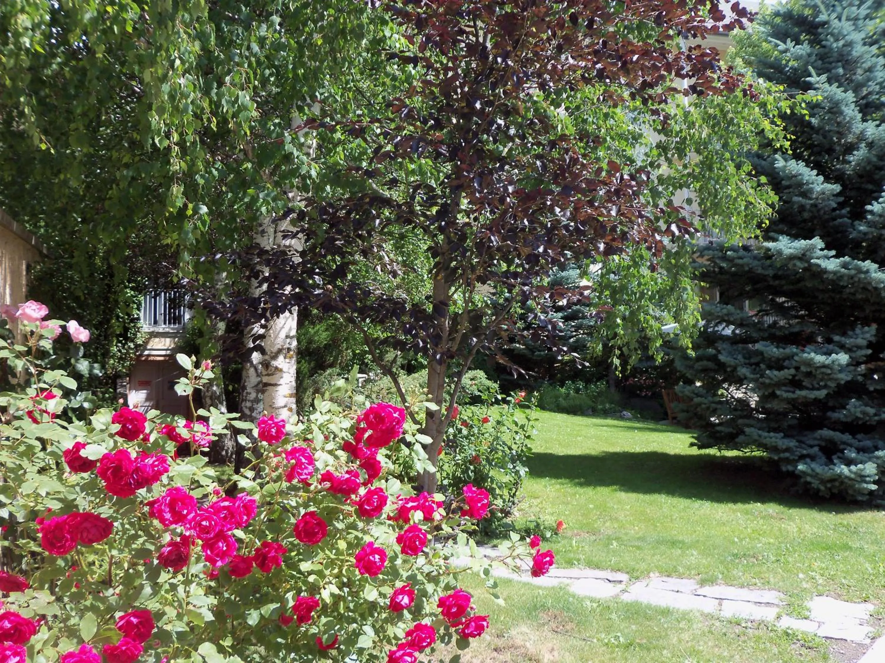 Summer in Hotel Spa Azteca Barcelonnette