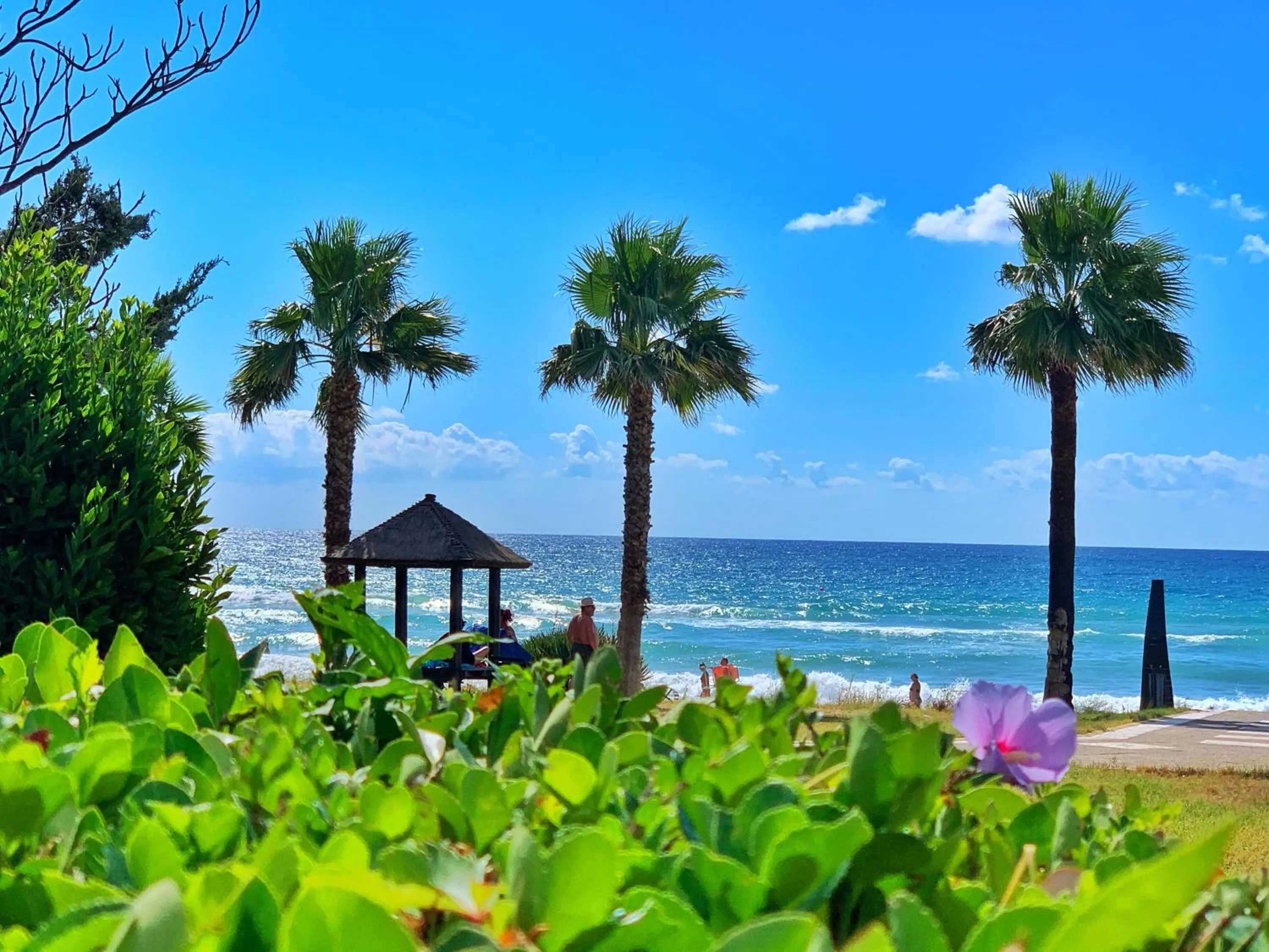 Beach in Royal Castle Design & SPA