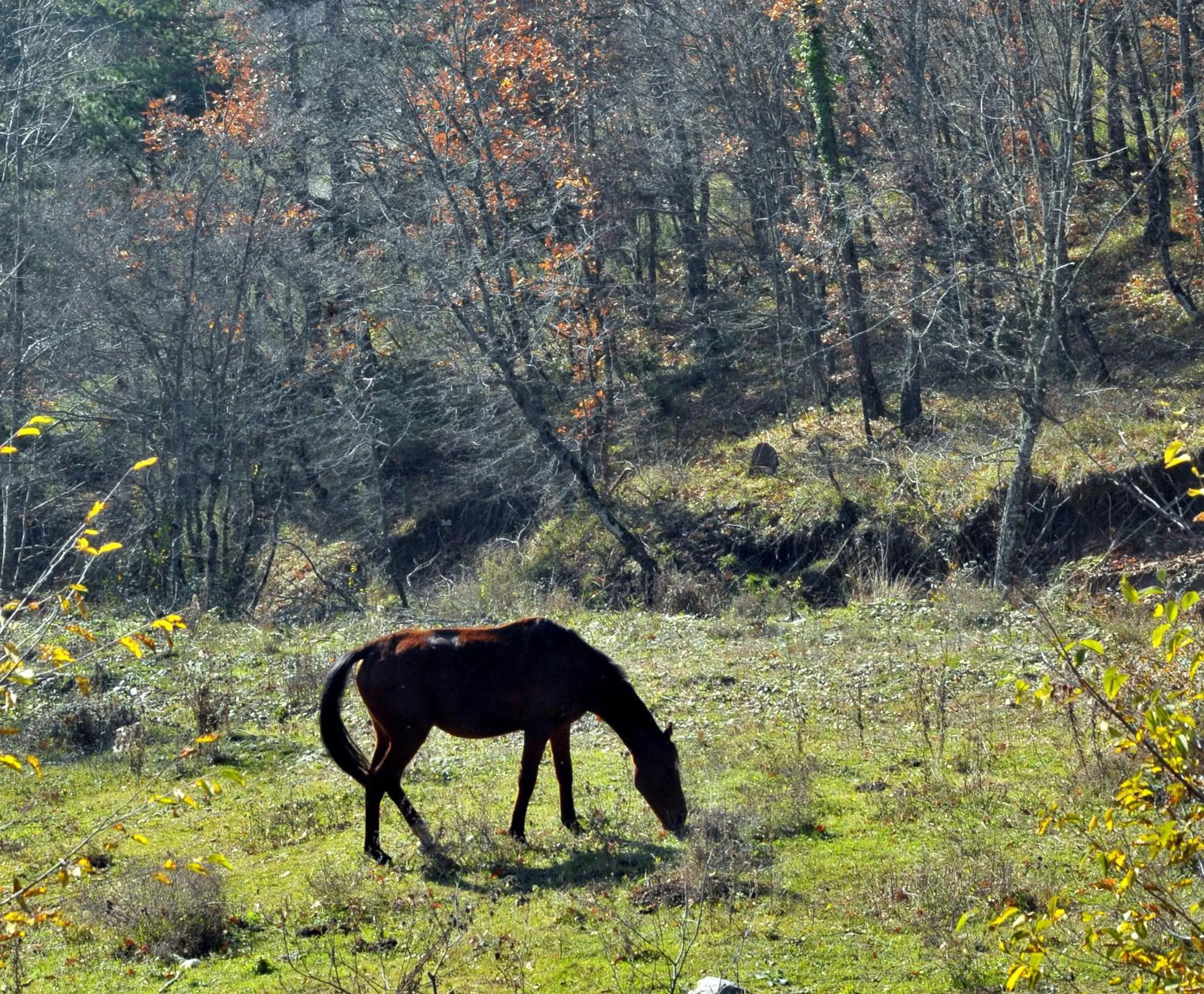 Day in Vaela Hotel Cultural Resort