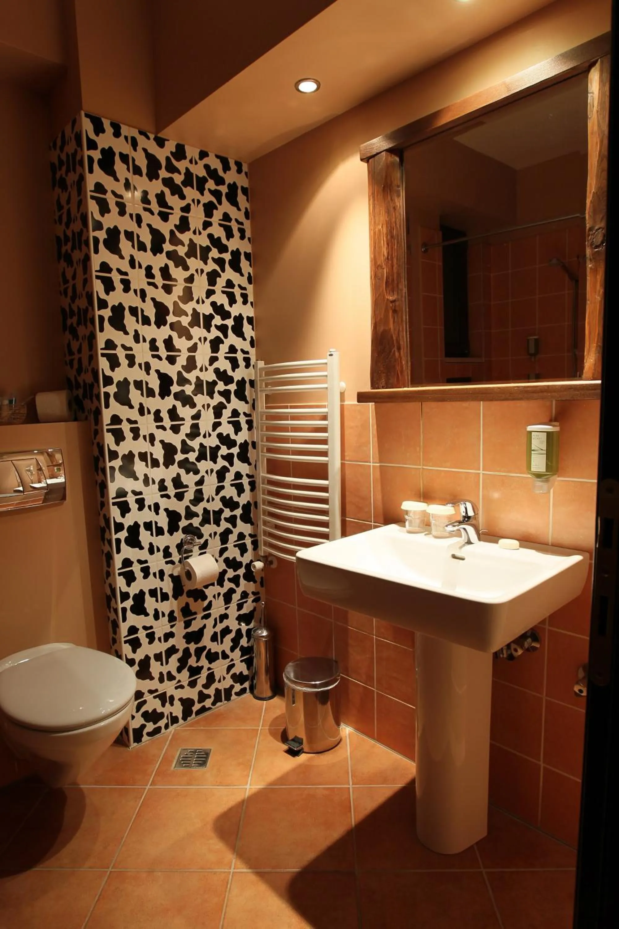 Shower in Vaela Hotel Cultural Resort