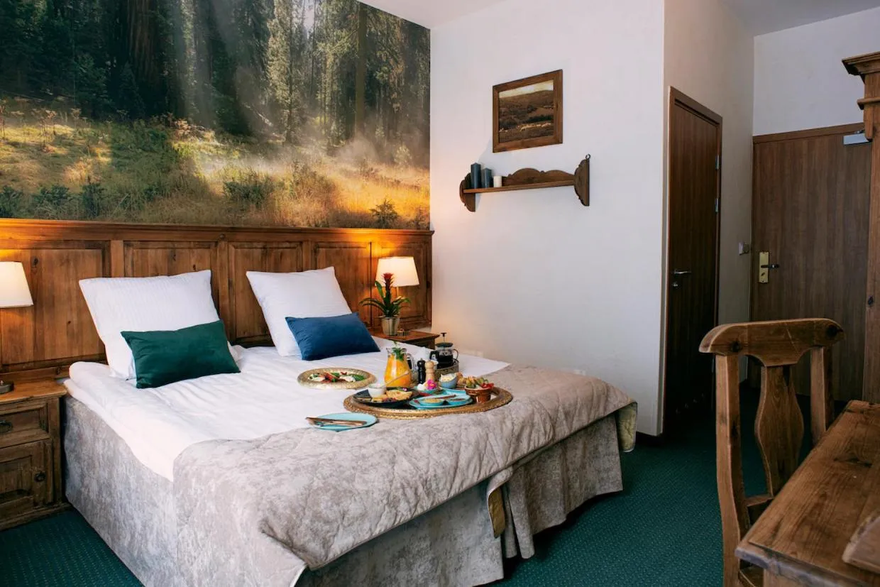 Toilet, Bed in Hotel Kotarz Spa&Wellness