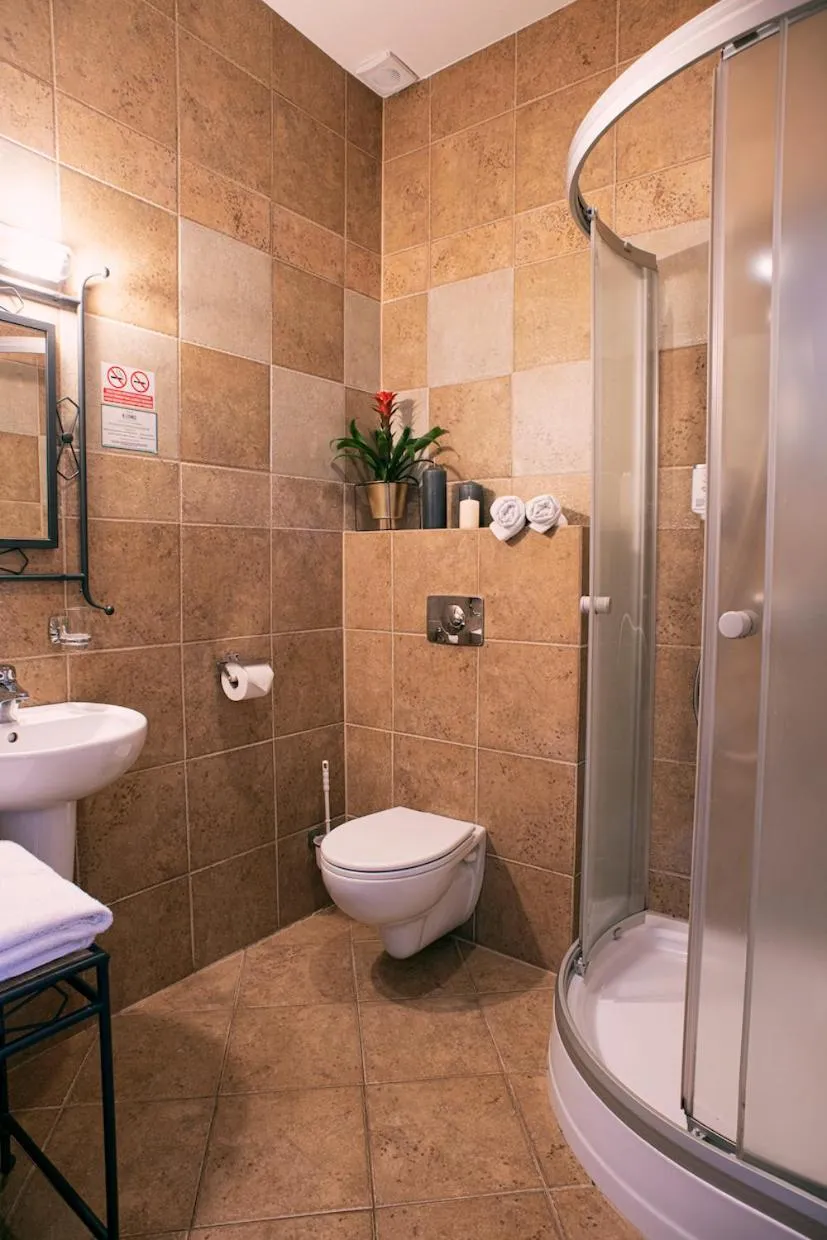 Large Double or Twin Room with a Roof Window - single occupancy in Hotel Kotarz Spa&Wellness