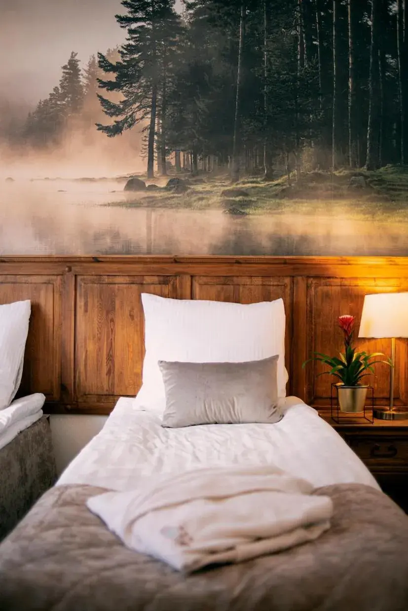 Standard Double Room in Hotel Kotarz Spa&Wellness Standard Double Room in Hotel Kotarz Spa&Wellness