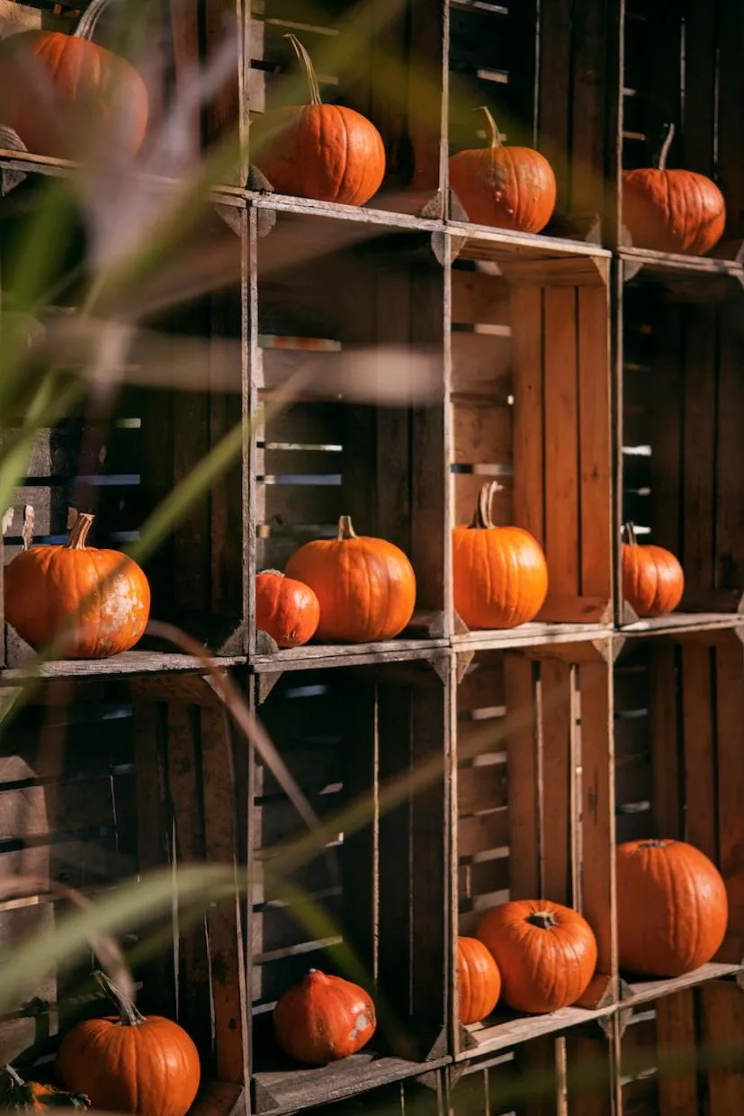 Food and drinks in Hotel Kotarz Spa&Wellness