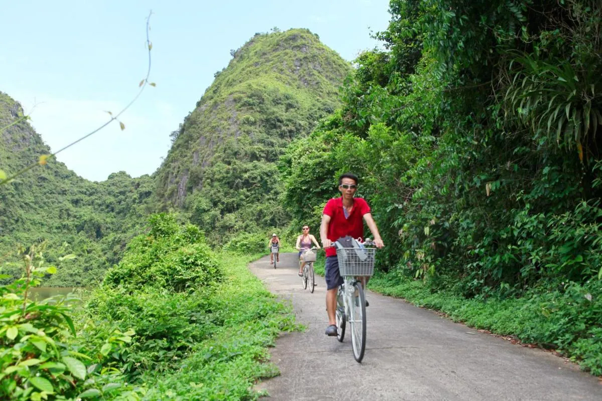 Activities in Whisper Nature Bungalow & Resort