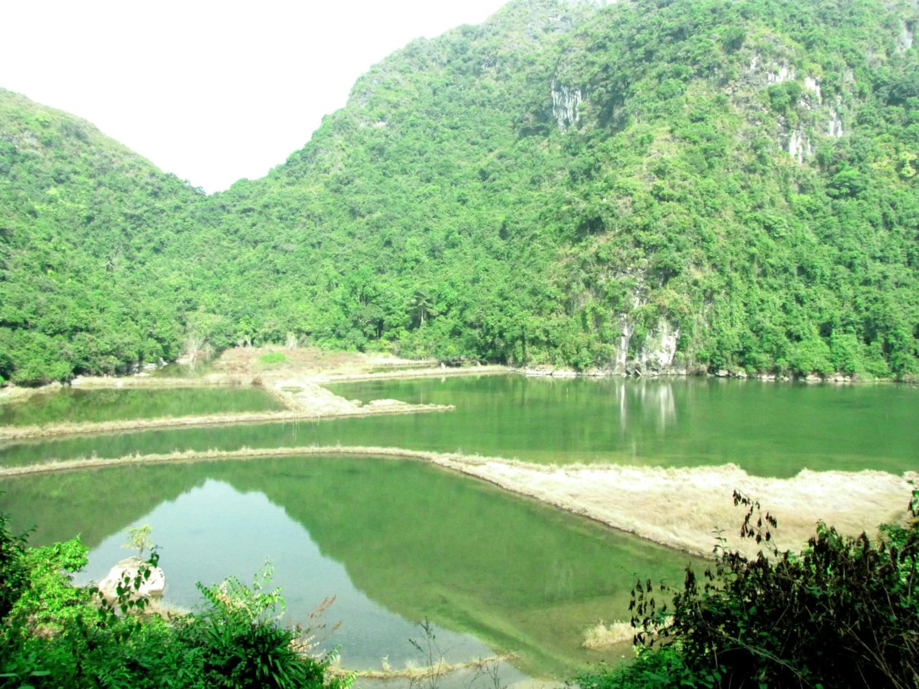 Other in Whisper Nature Bungalow & Resort