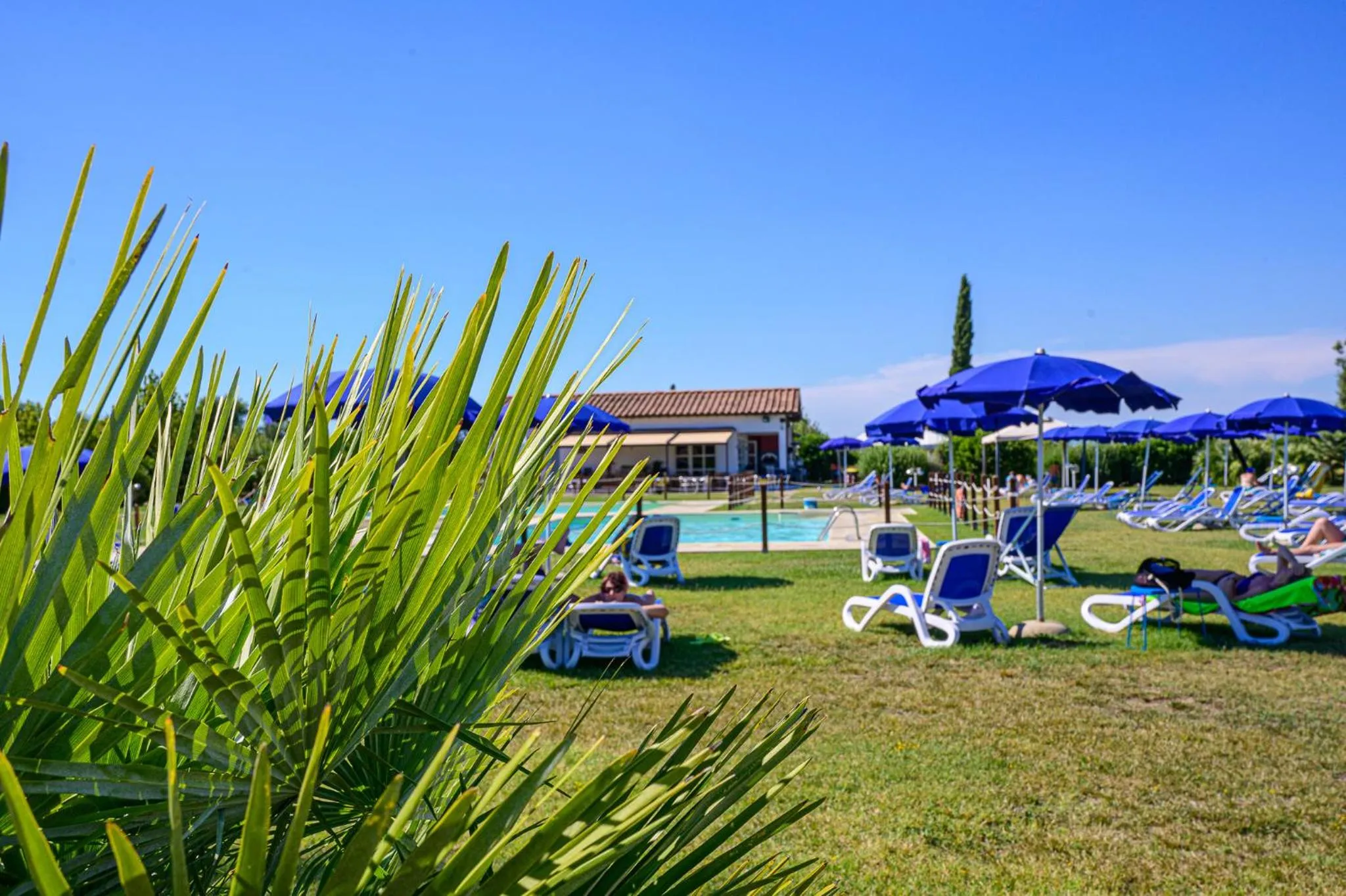 Swimming pool in Residenza Principina