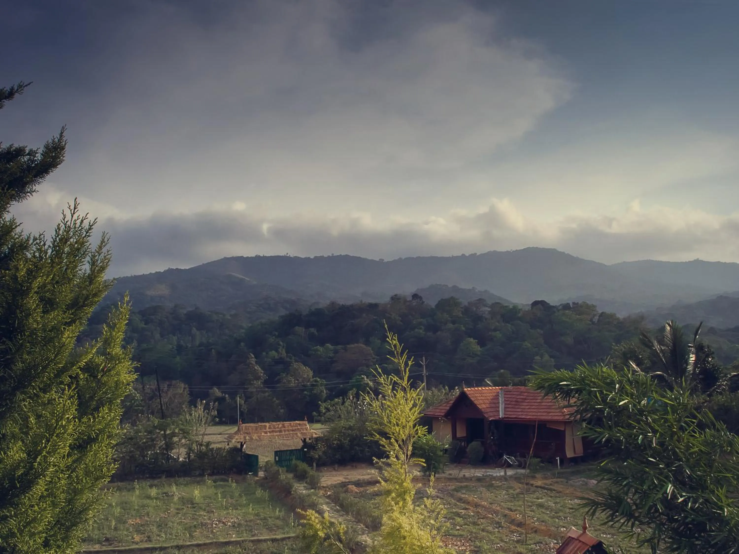 Natural landscape in KOOMANKOLLY RESORT