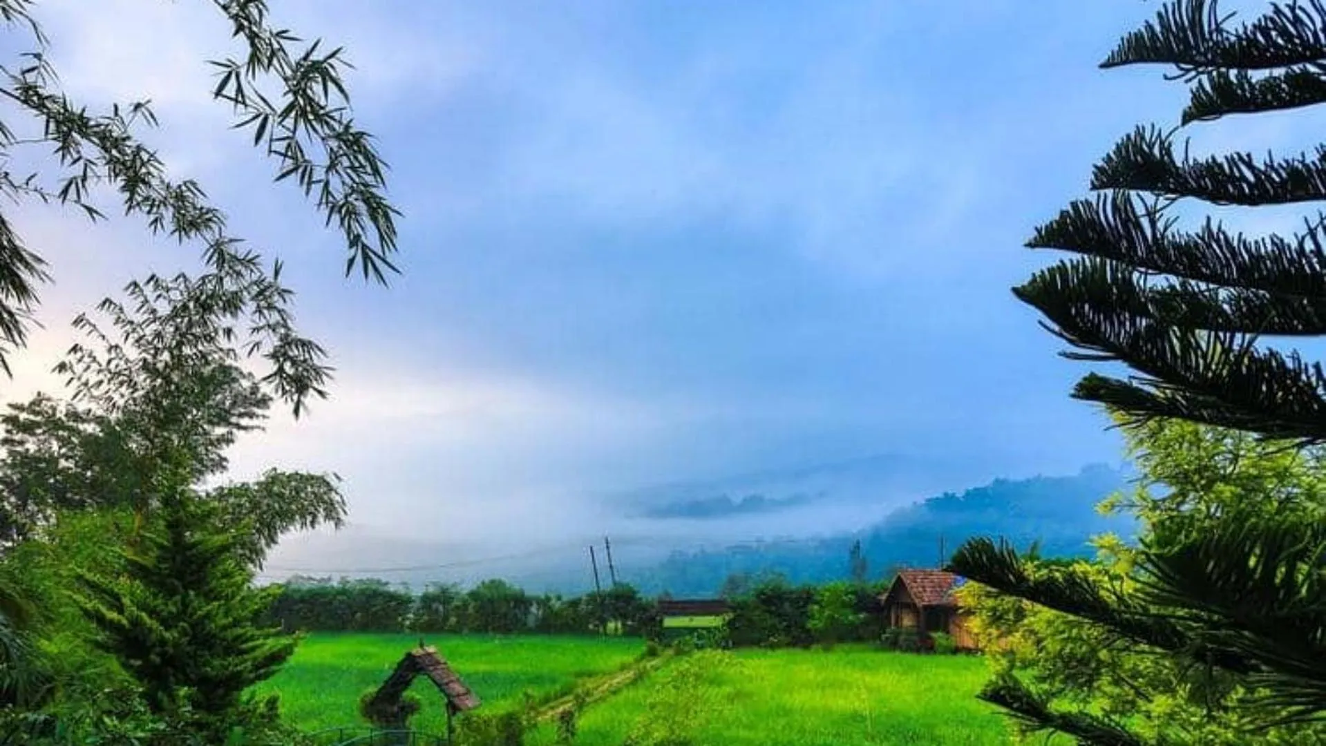View (from property/room) in KOOMANKOLLY RESORT