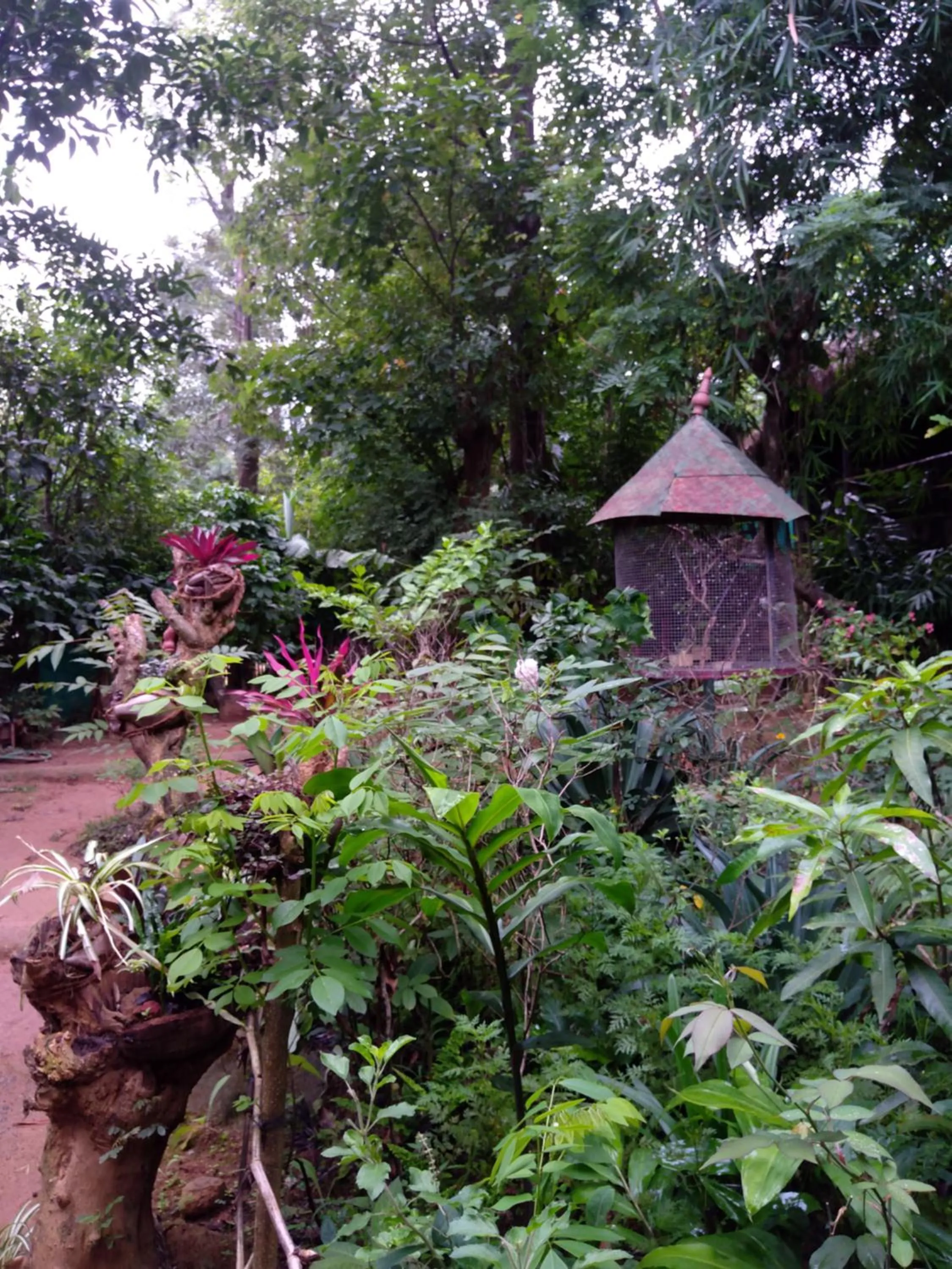 Garden view in KOOMANKOLLY RESORT