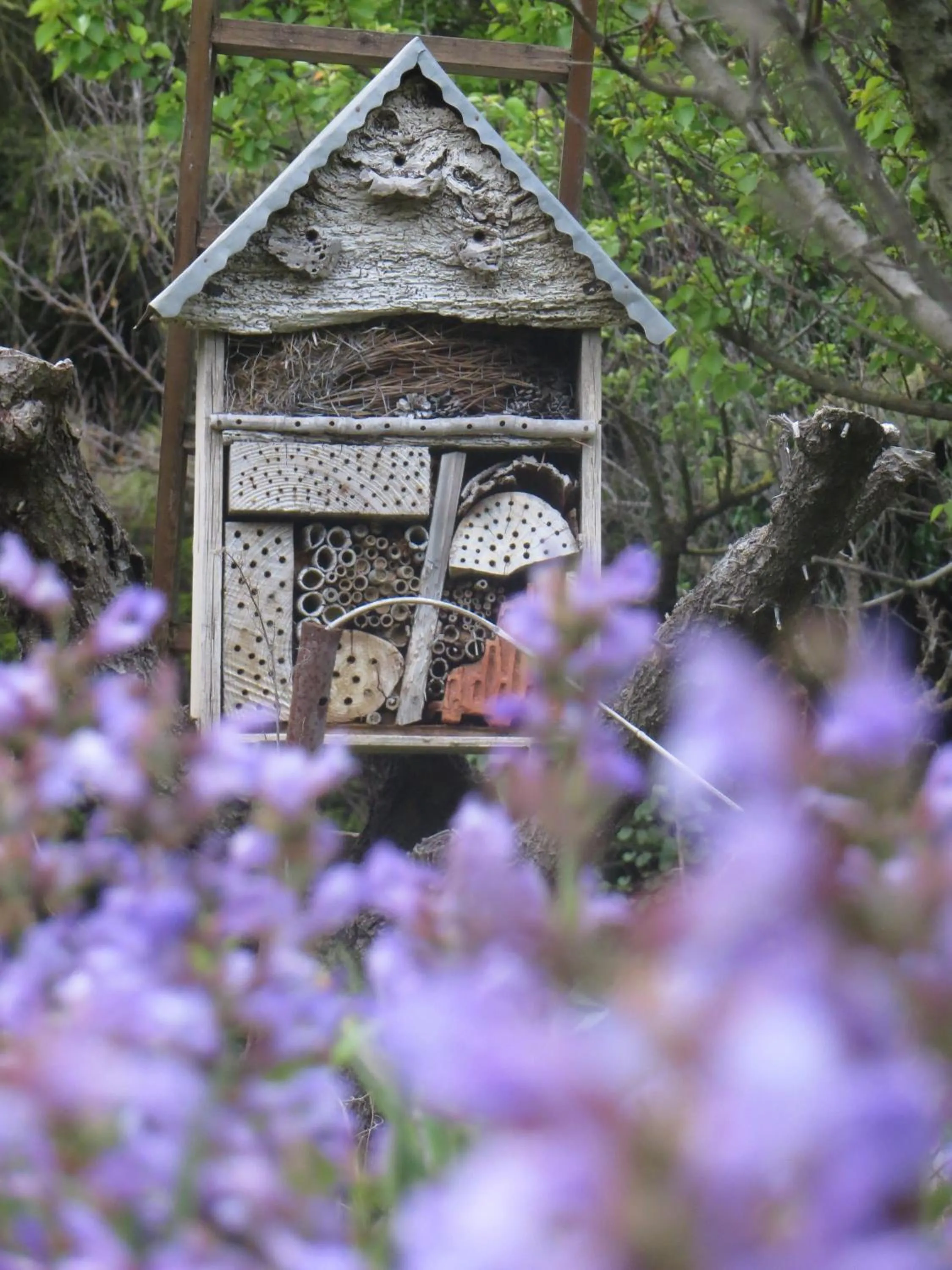 Property building in Mas de L'Ermitage