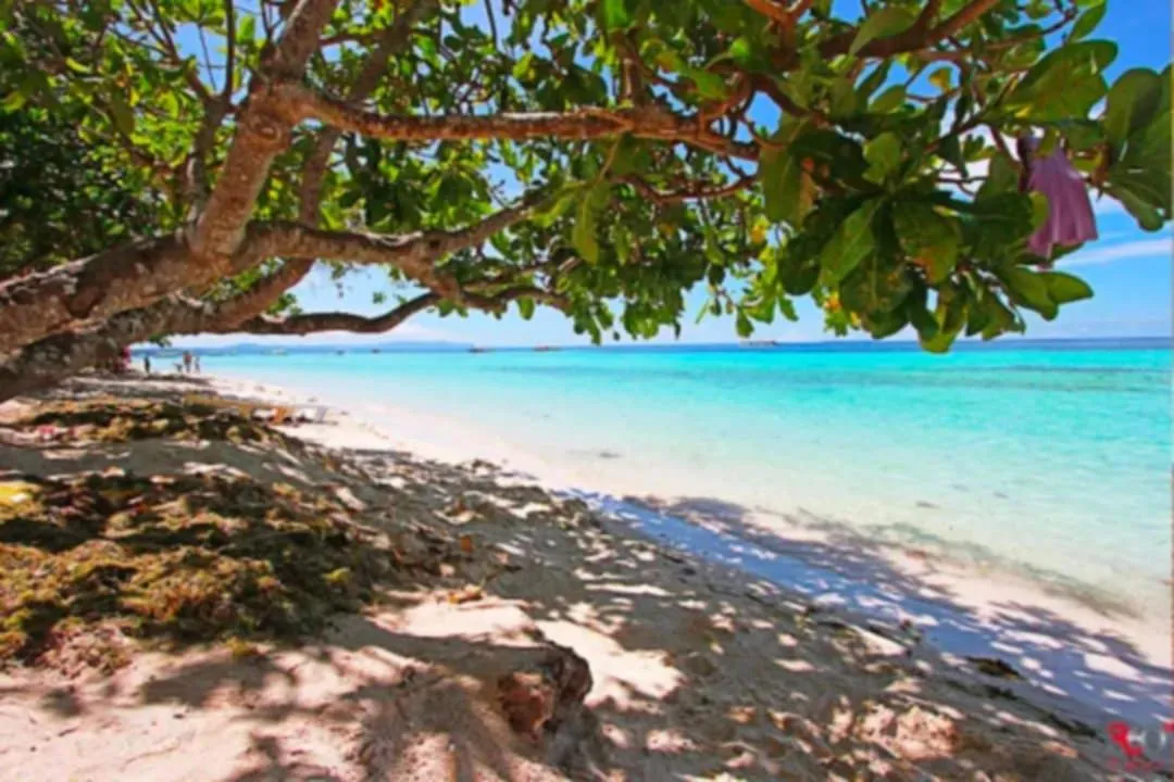 Beach in Adriana's Place Tropical Guesthouse