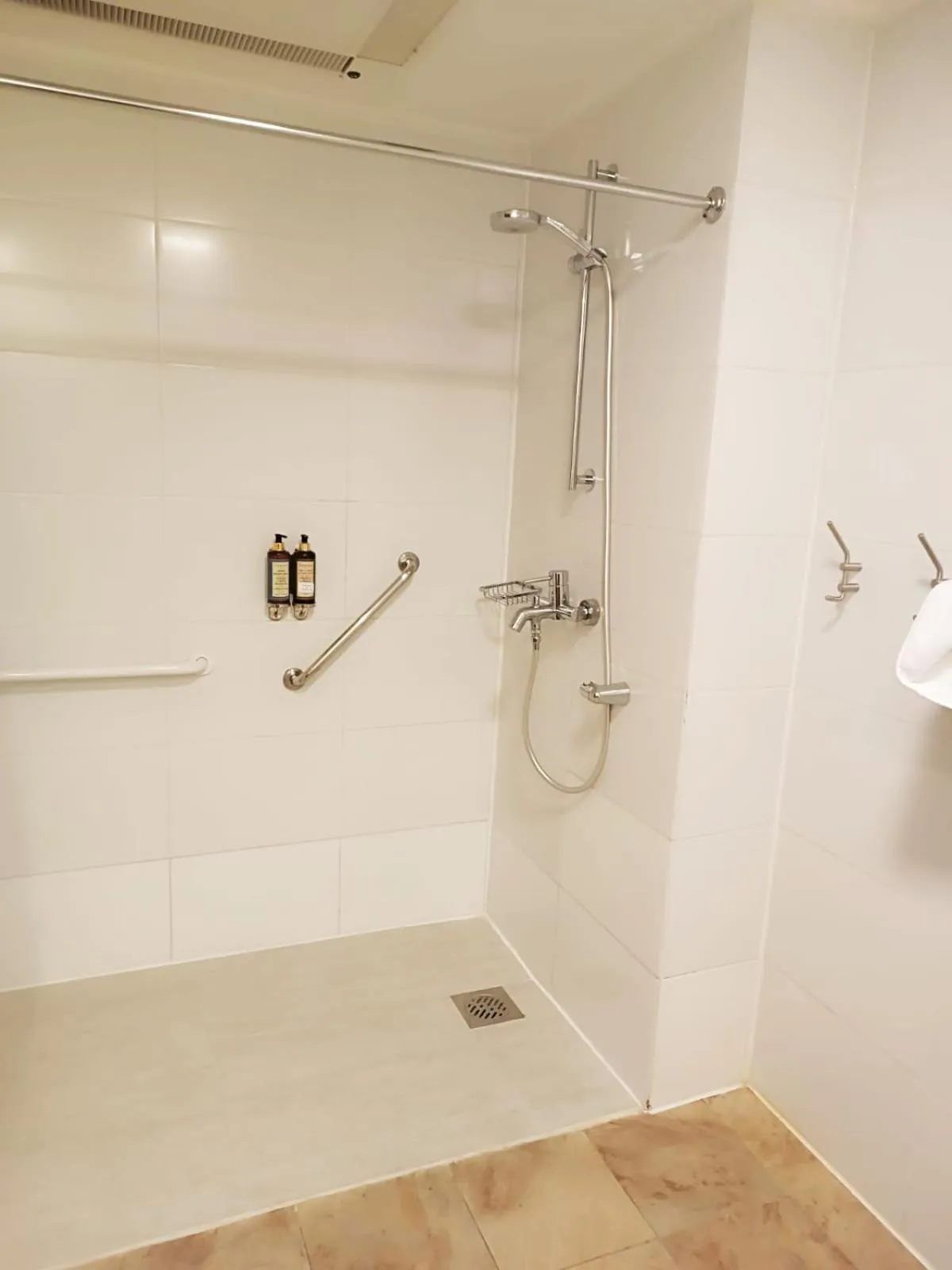 Bathroom in Wyndham Puerto Varas Pettra