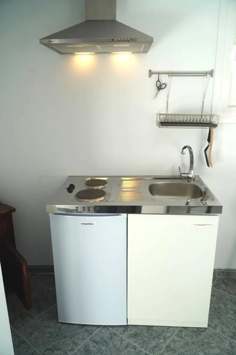 Kitchen or kitchenette in Hostal Alegre