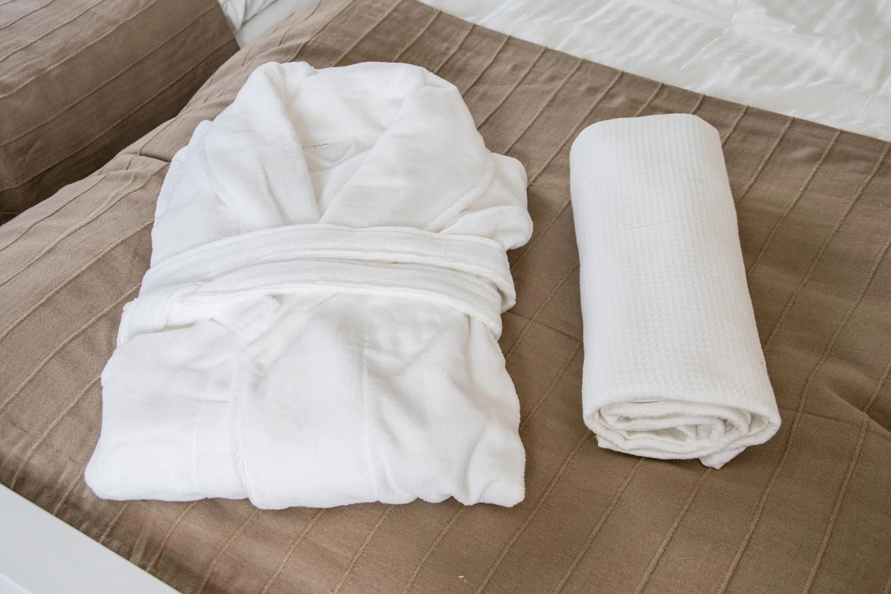 Area and facilities in Hostal Alegre