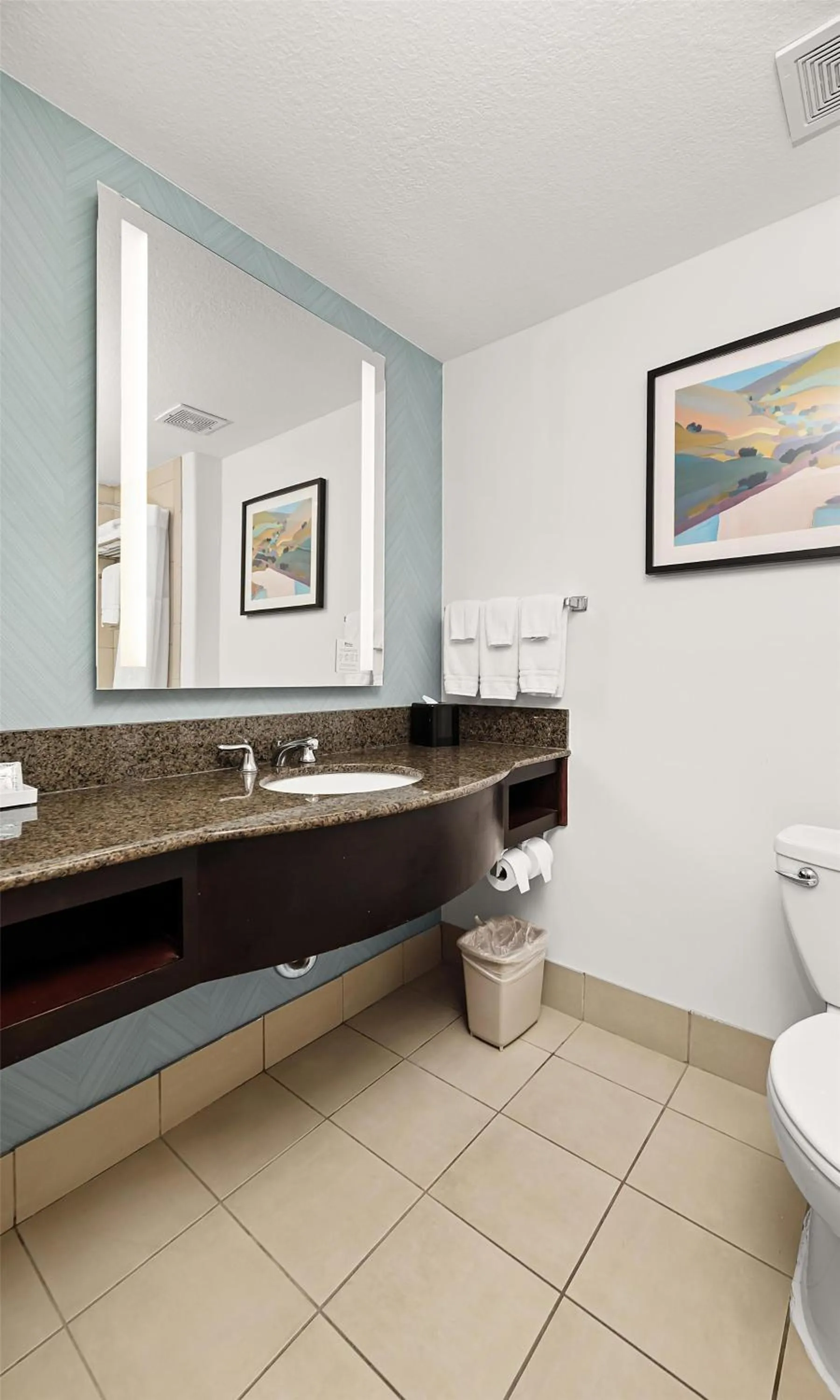 Bathroom in Hilton Garden Inn New Braunfels