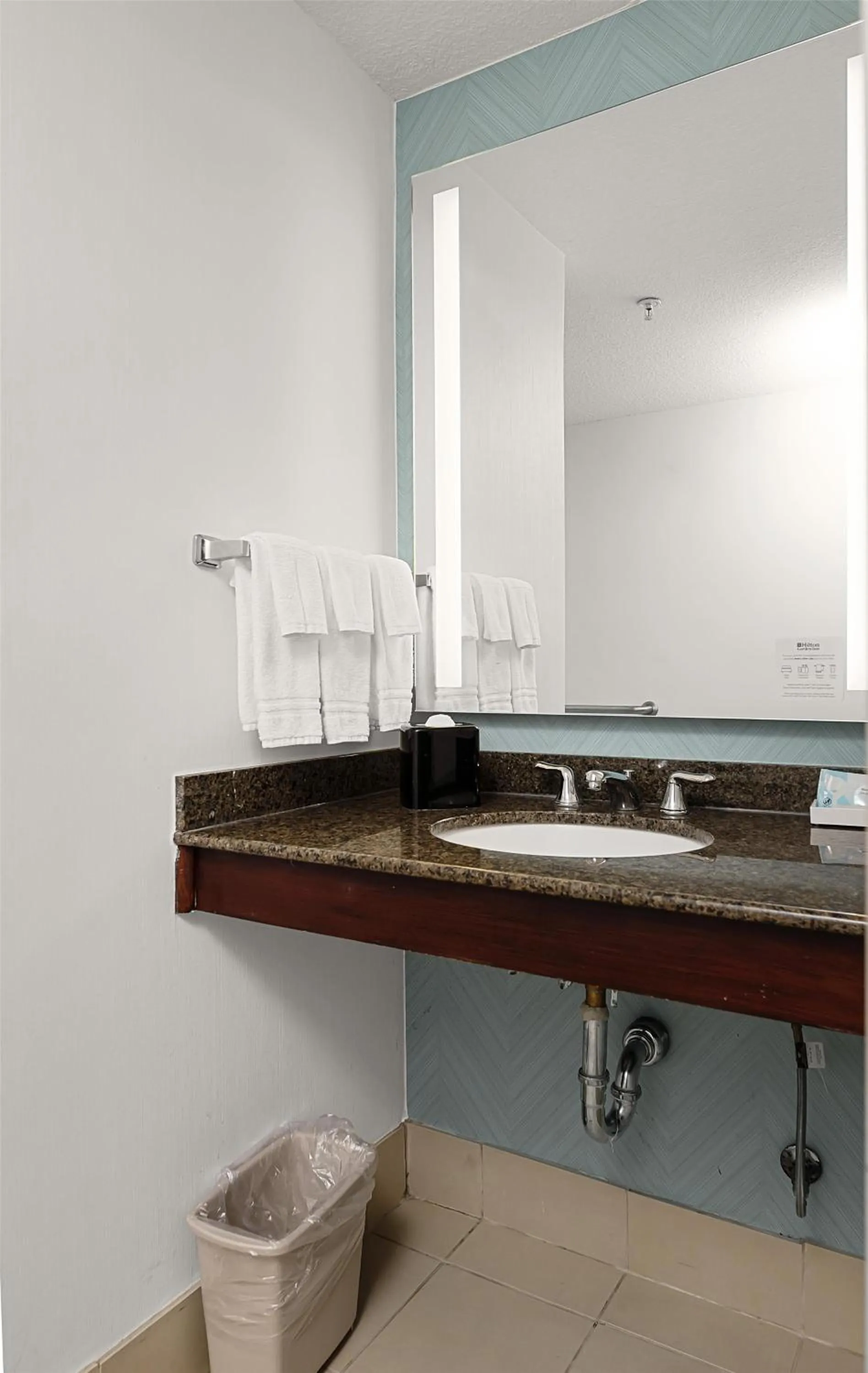 Bathroom in Hilton Garden Inn New Braunfels