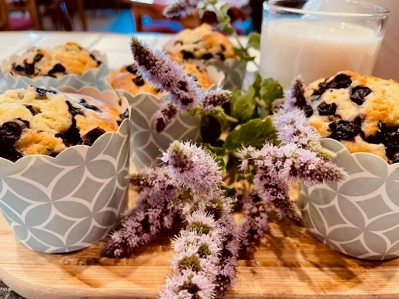 Breakfast in Dom Potok