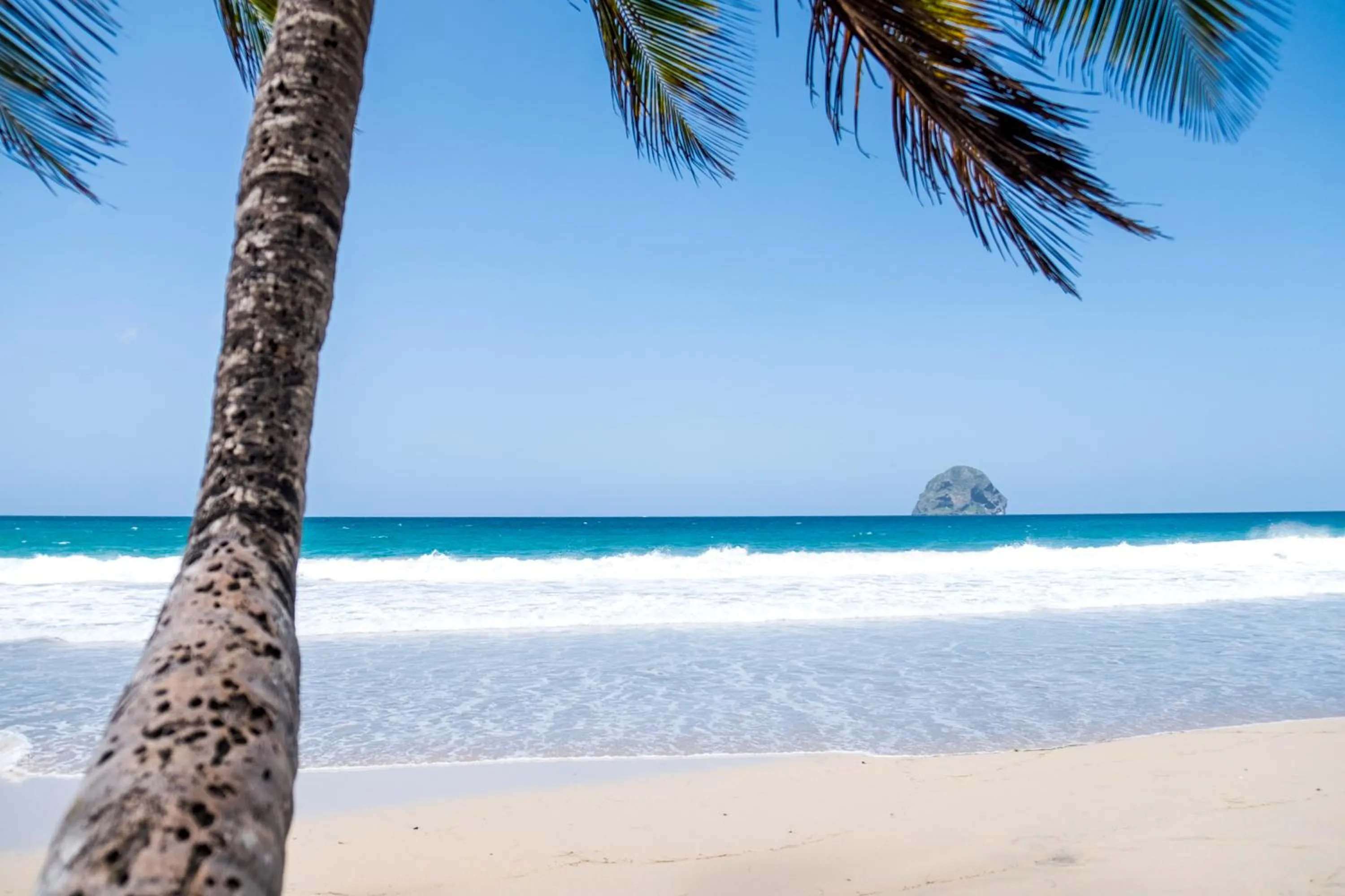 Natural landscape in Diamant les bains - Résidence Hôtelière