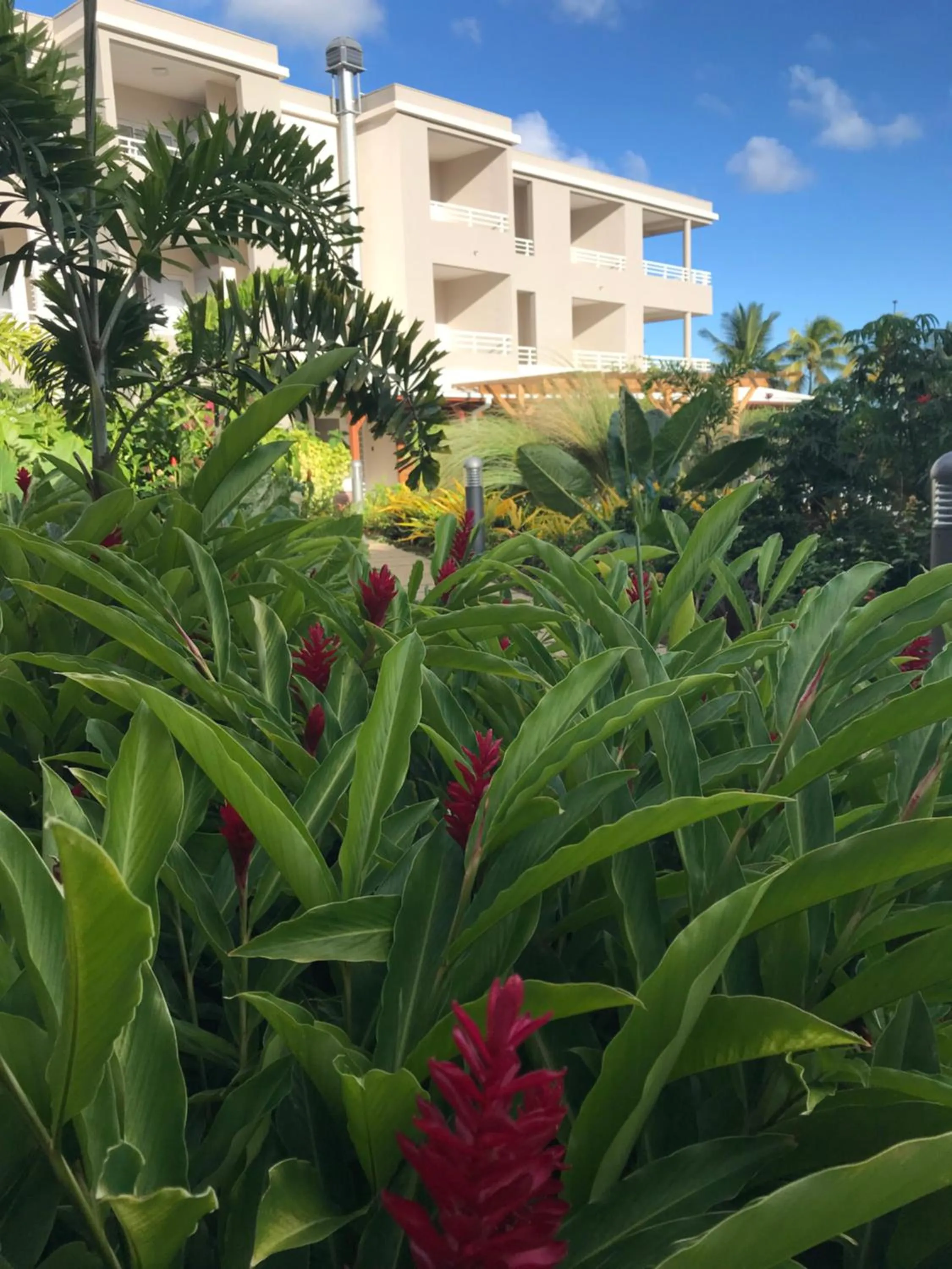 Garden in Diamant les bains - Résidence Hôtelière