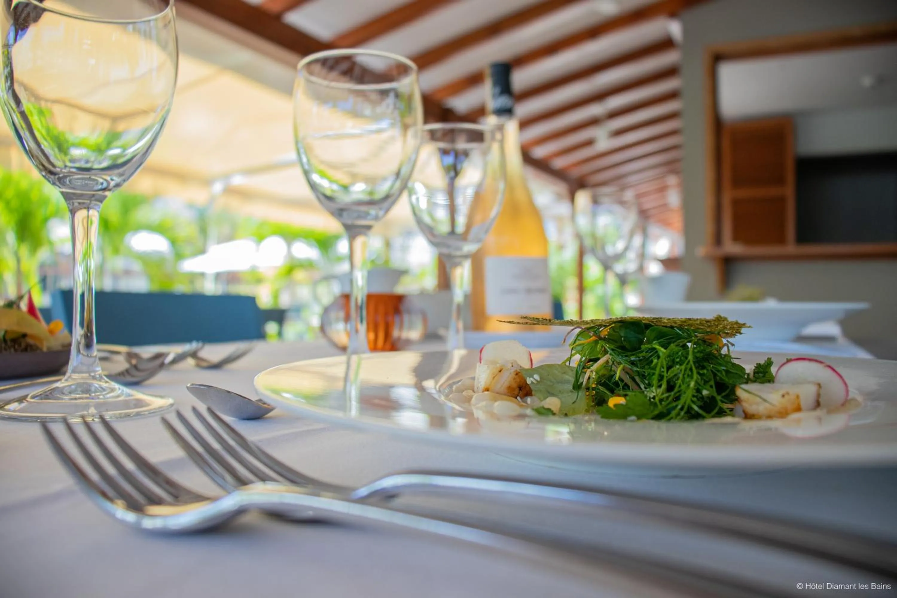 Restaurant/places to eat in Diamant les bains - Résidence Hôtelière
