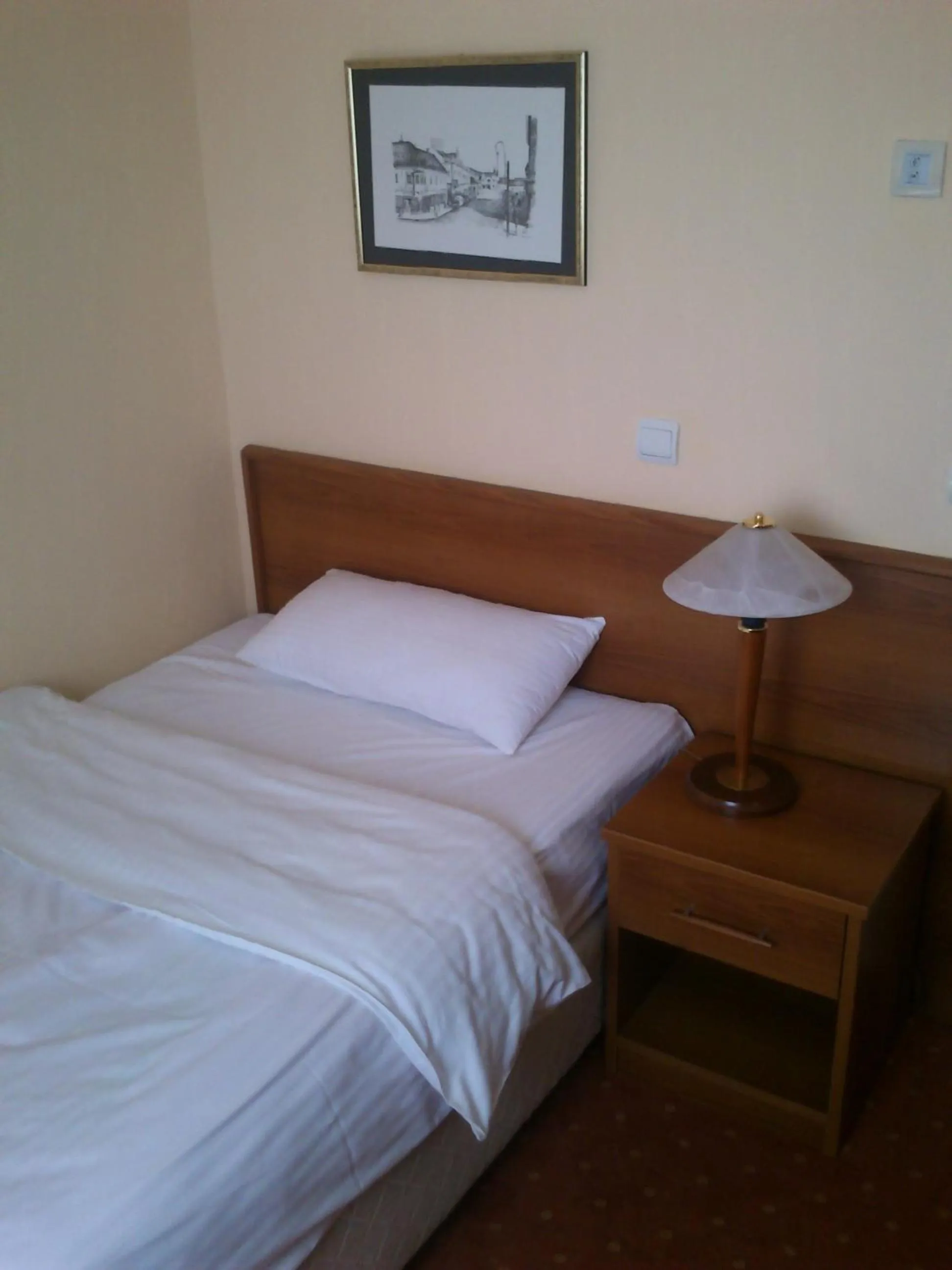 Bed in Hotel Srbija