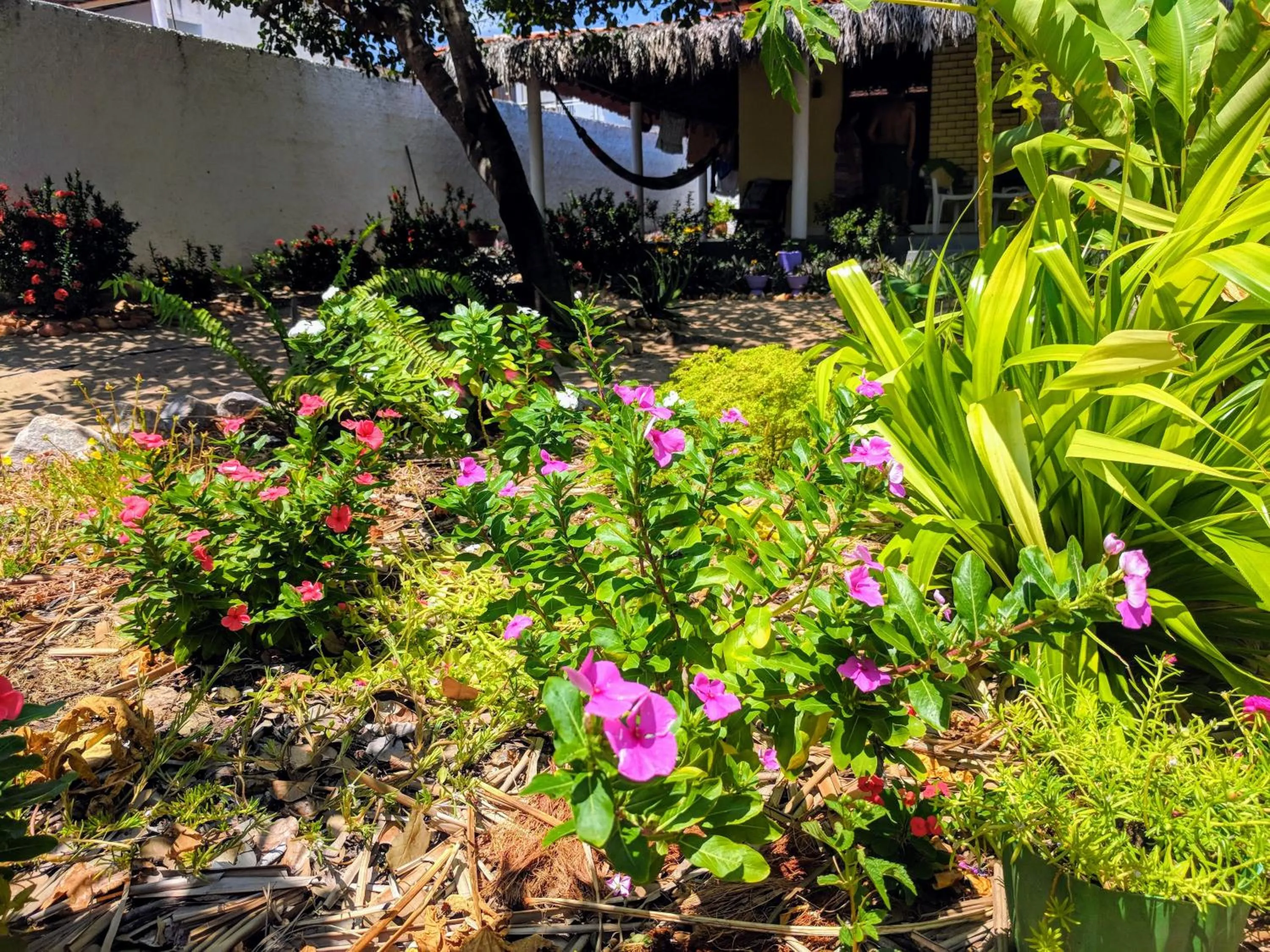 Property building in B&B Chalé Jardins