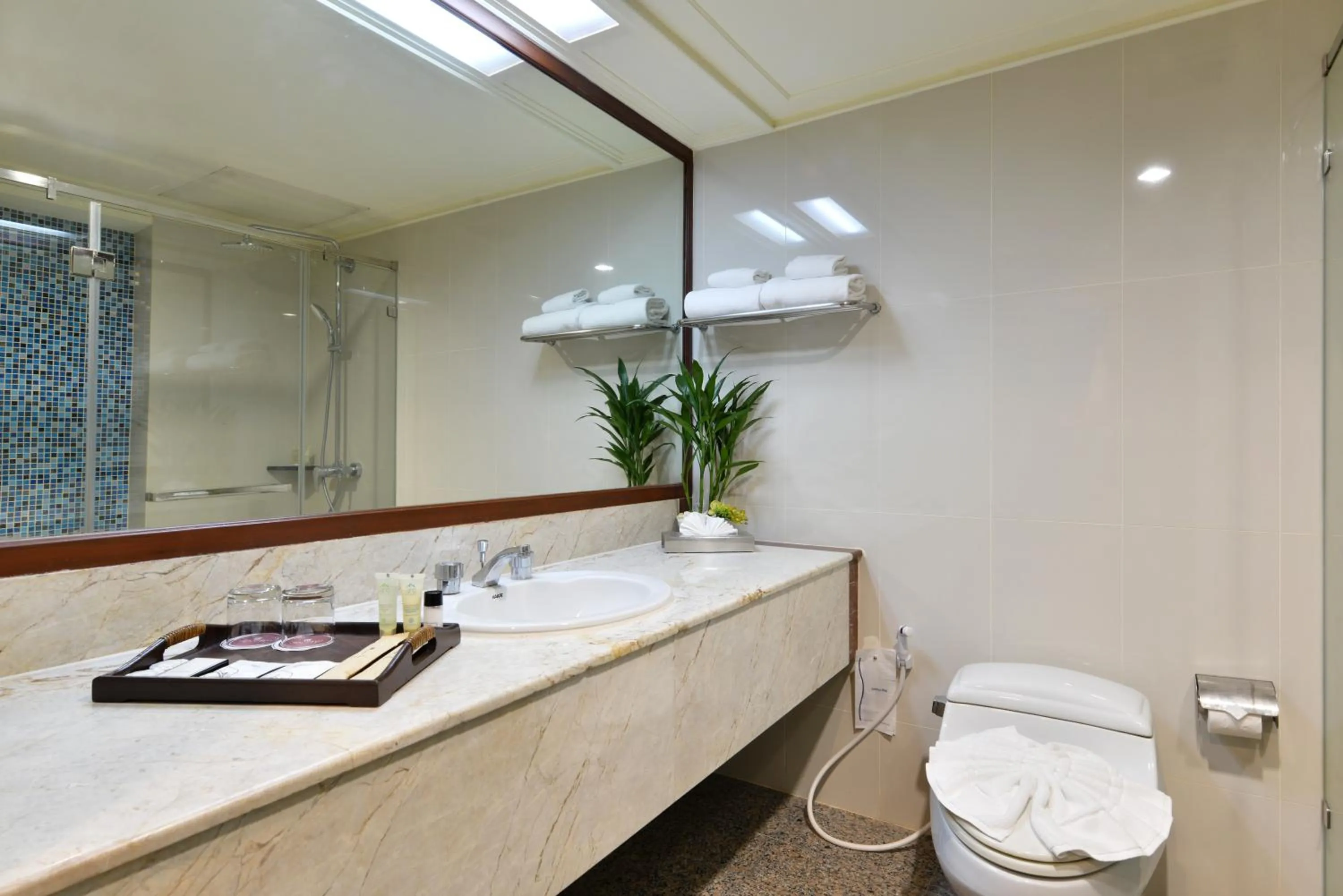 Toilet in Twin Towers Hotel