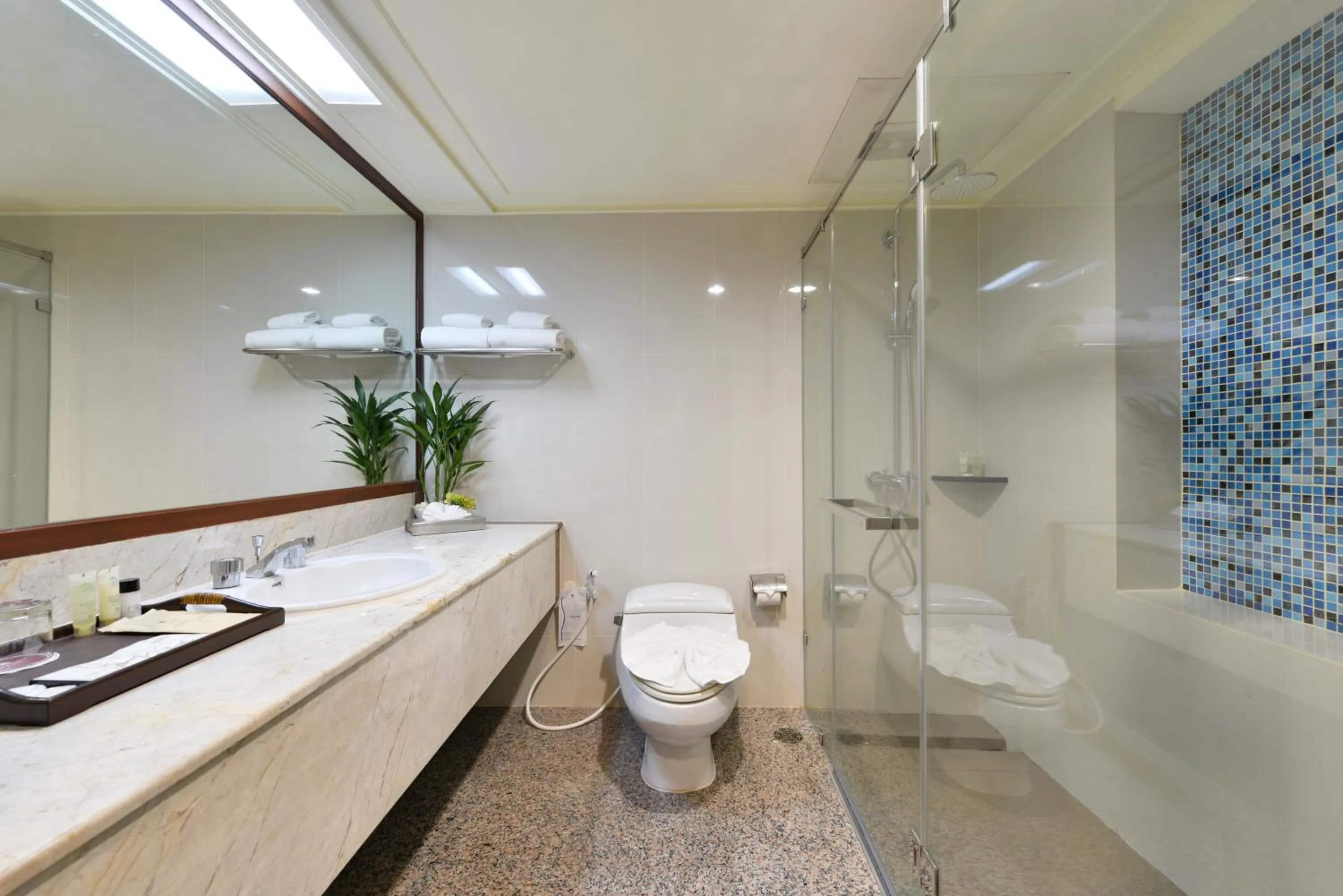 Shower in Twin Towers Hotel