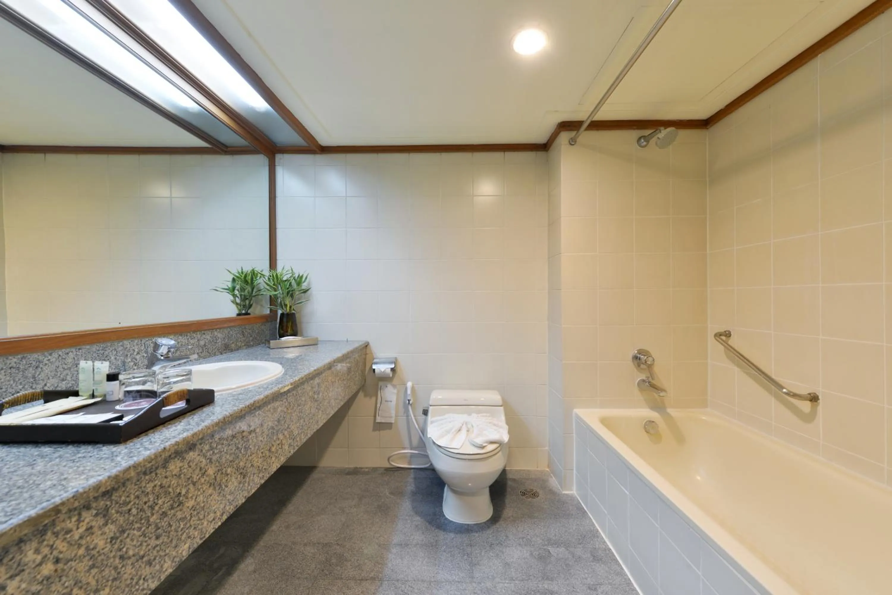 Toilet in Twin Towers Hotel