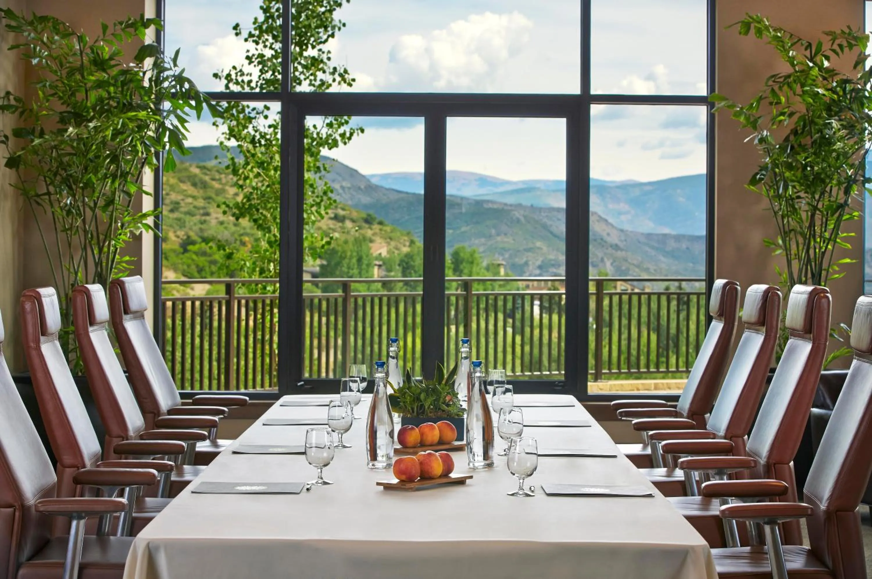 Business facilities in Viceroy Snowmass