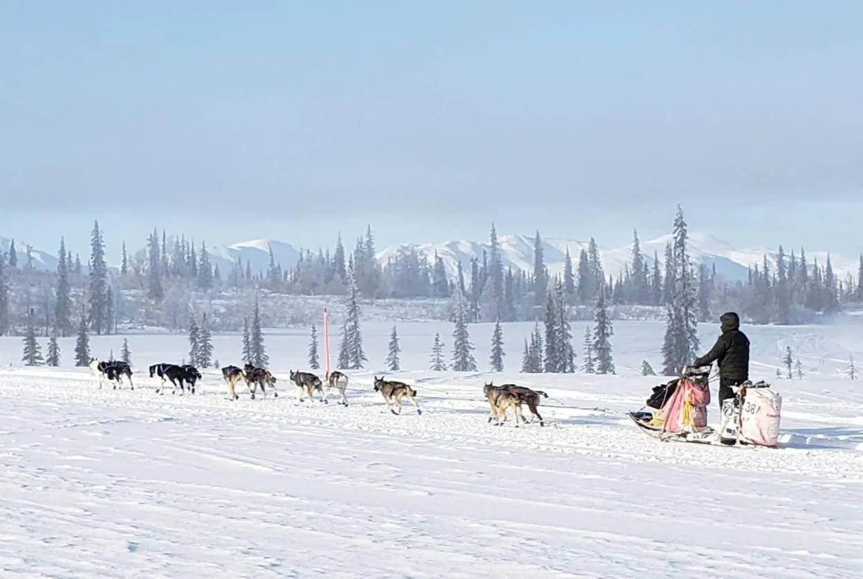 Activities in Gwin's Lodge & Roadhouse