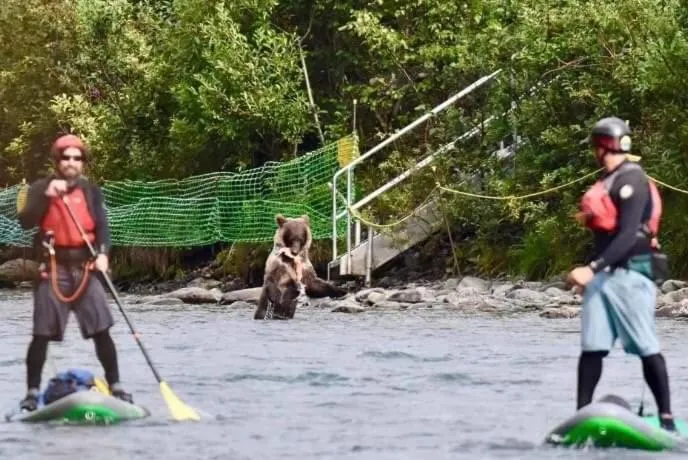 Activities in Gwin's Lodge & Roadhouse