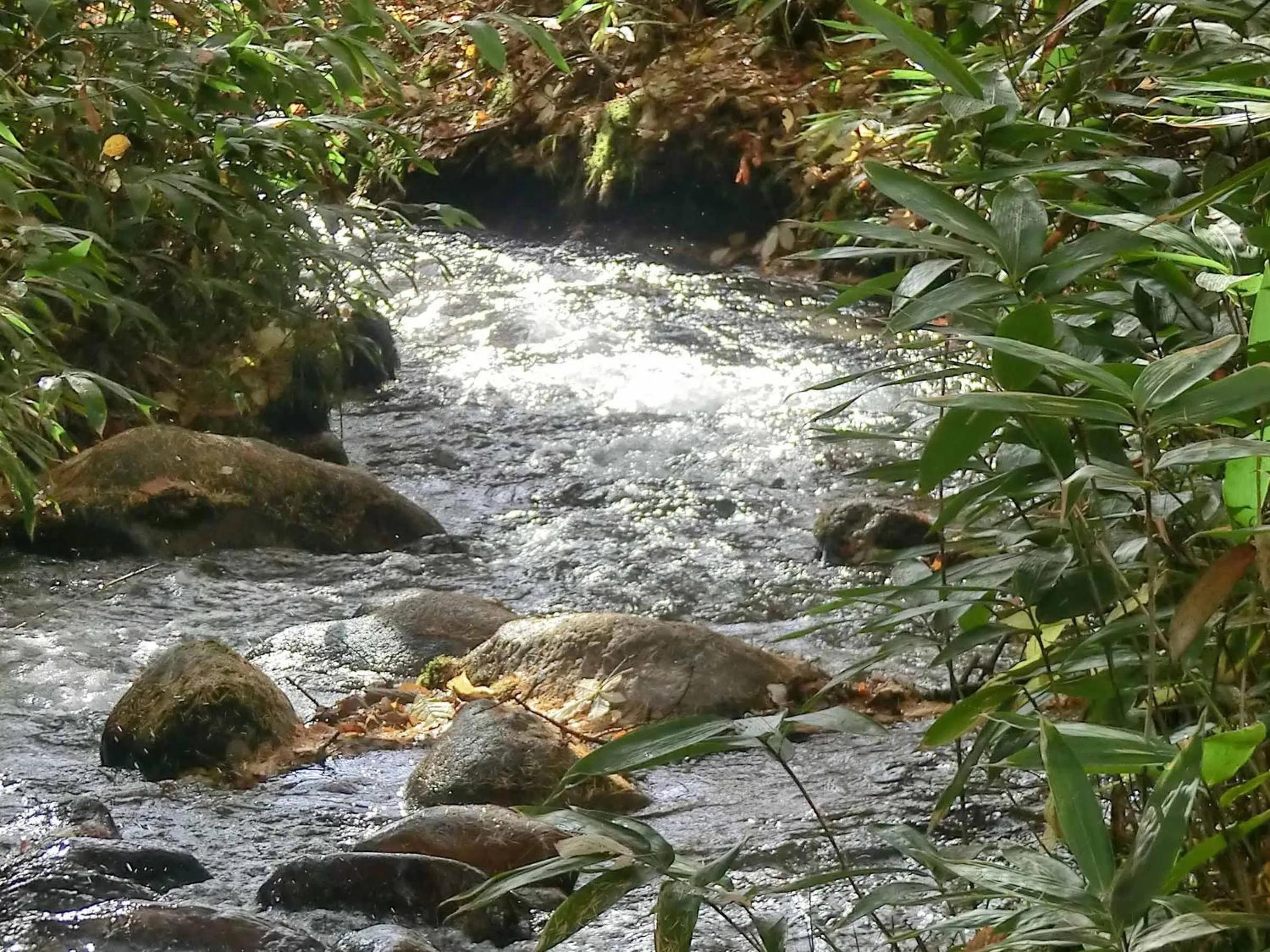 Off site in Canadian Loghouse Inn AzuminoYujin