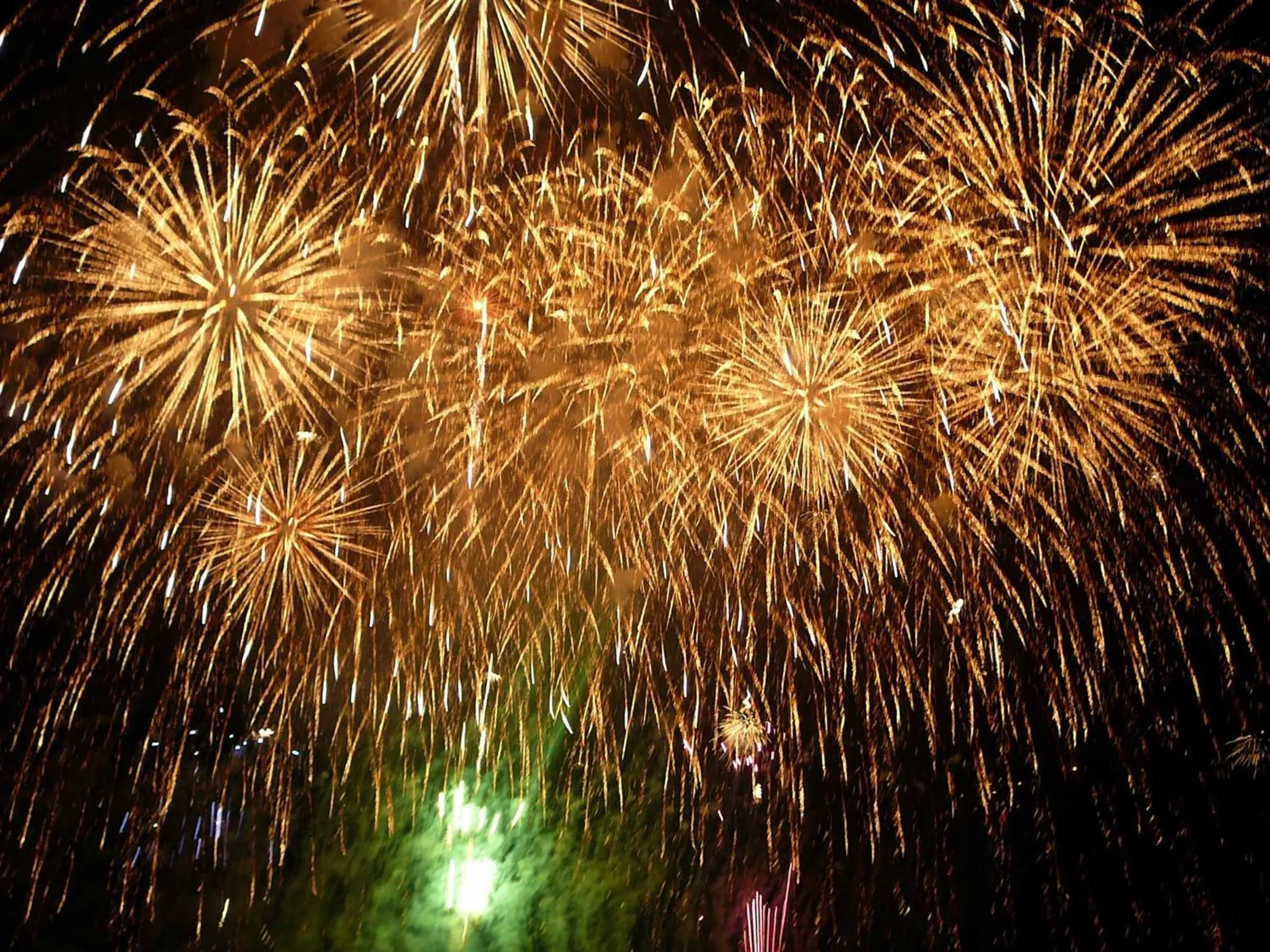 Entertainment in Canadian Loghouse Inn AzuminoYujin